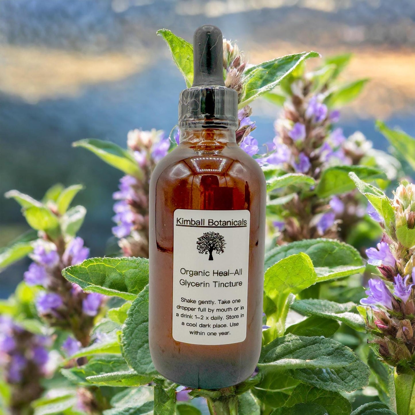 Organic Self Heal (Prunella Vulgaris) Double Extracted Tincture Glycerin Liquid Extract