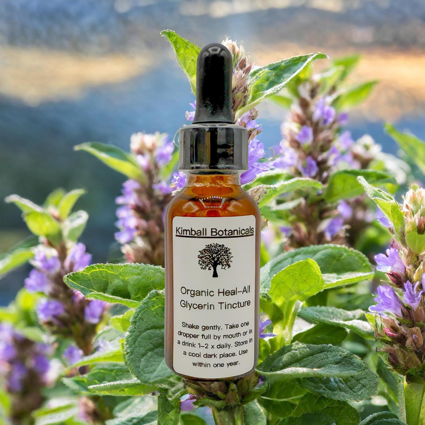 Organic Self Heal (Prunella Vulgaris) Double Extracted Tincture Glycerin Liquid Extract