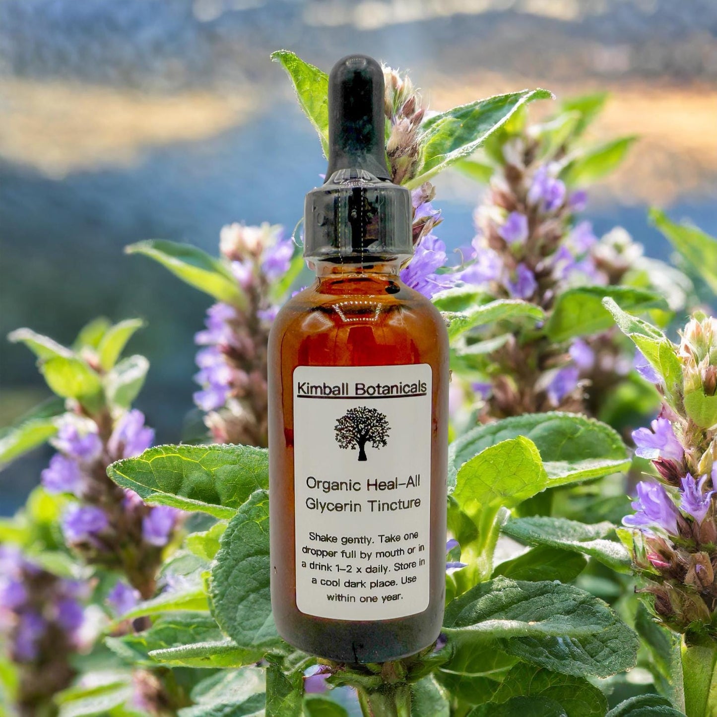 Organic Self Heal (Prunella Vulgaris) Double Extracted Tincture Glycerin Liquid Extract