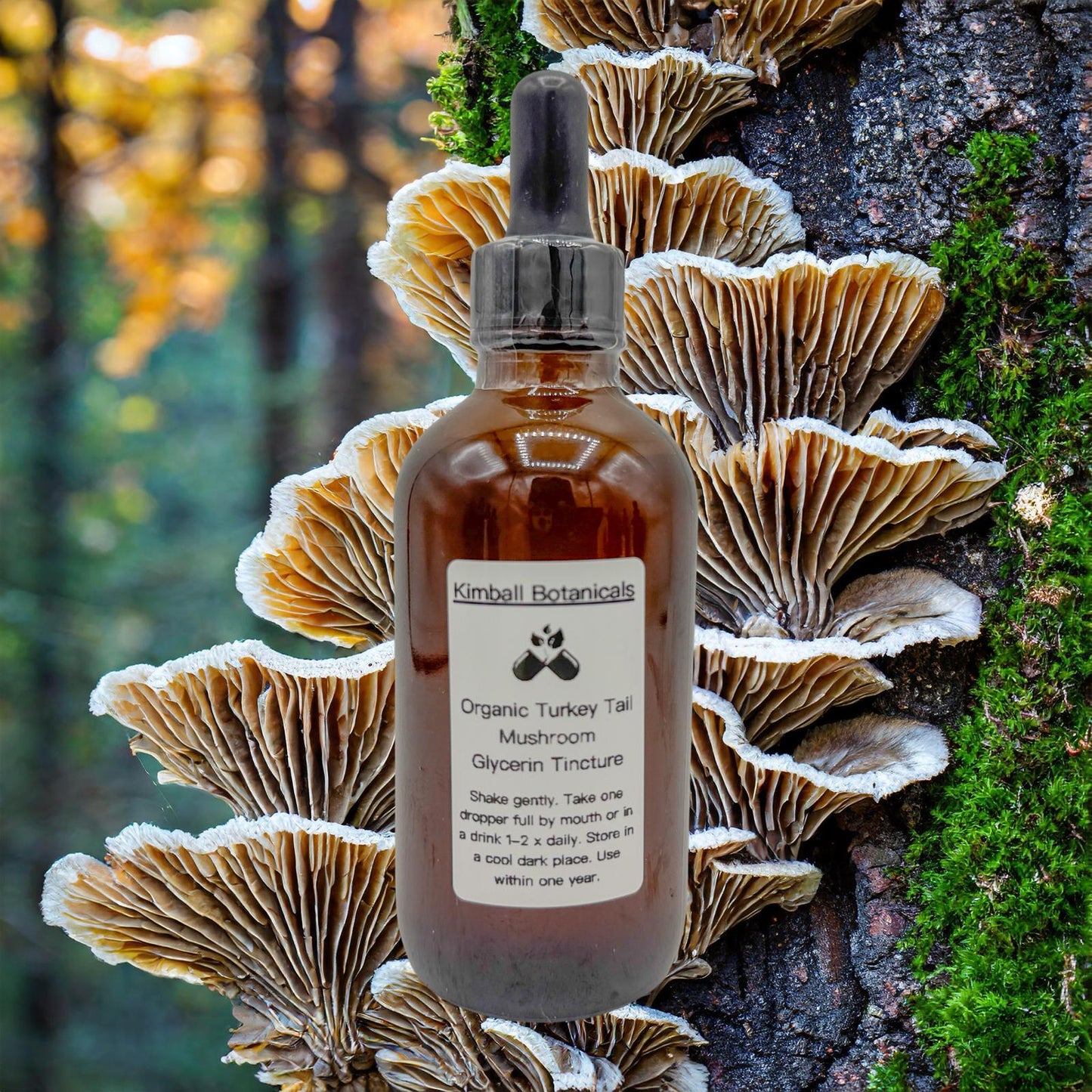USDA Organic Turkey Tail Mushroom Double Extracted Glycerin Tincture