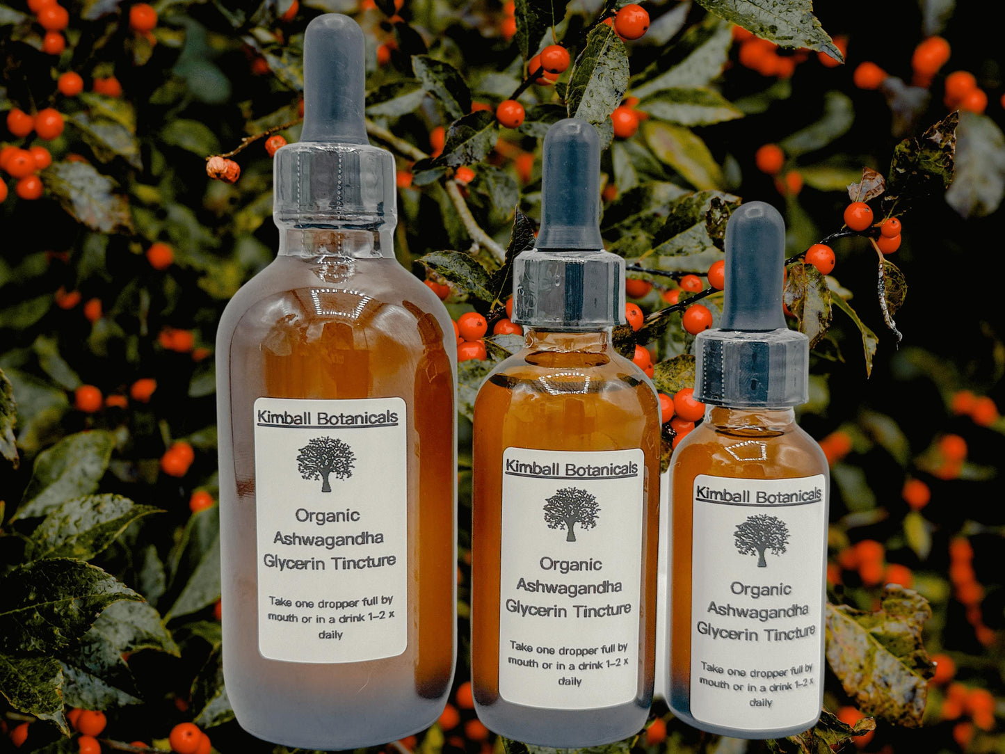 Organic Ashwagandha (Withania somnifera) 500mg and 650mg vegetarian capsules or glycerin tincture, made fresh to order