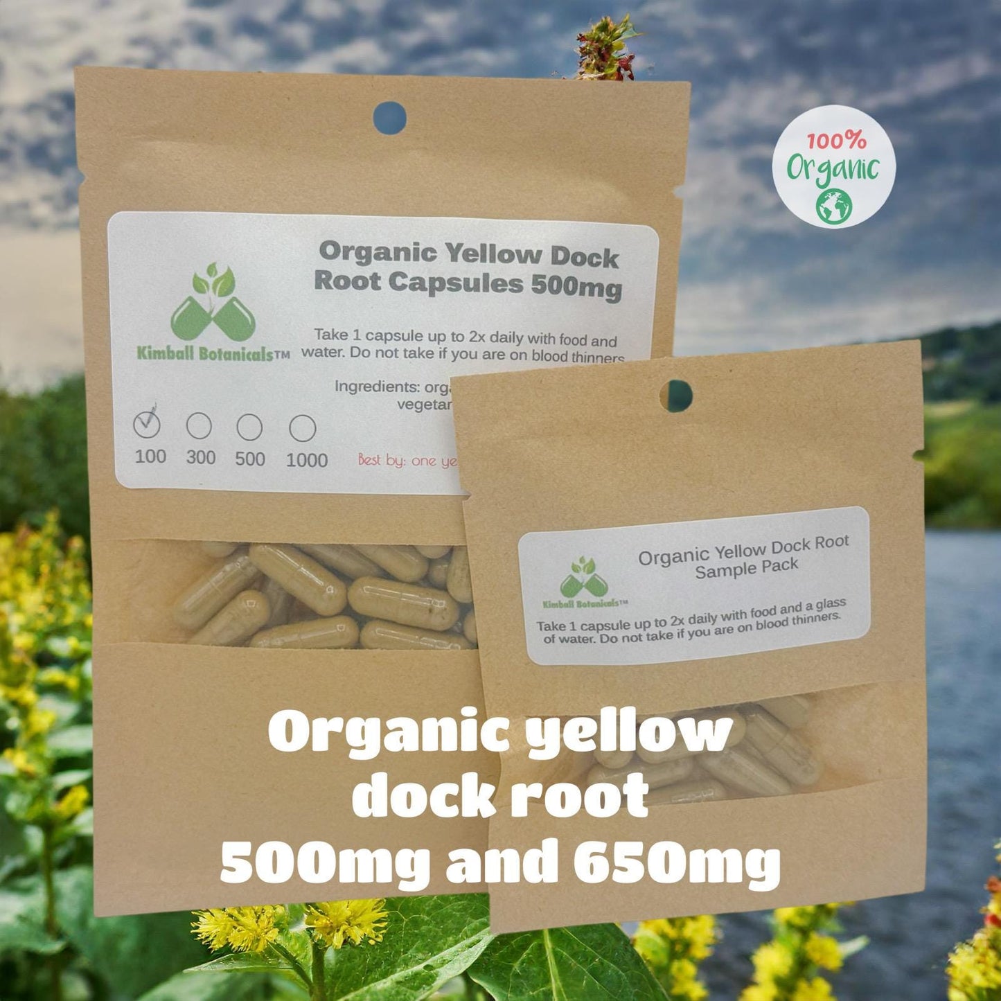 Certified Organic Yellow Dock Root (rumex crispus) 500mg and 650mg vegetarian capsules or tincture, made fresh to order