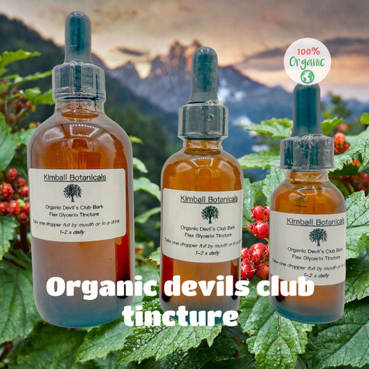 Certified Organic Devils Club Glycerin Tincture Double Extracted, sustainably harvested NON GMO