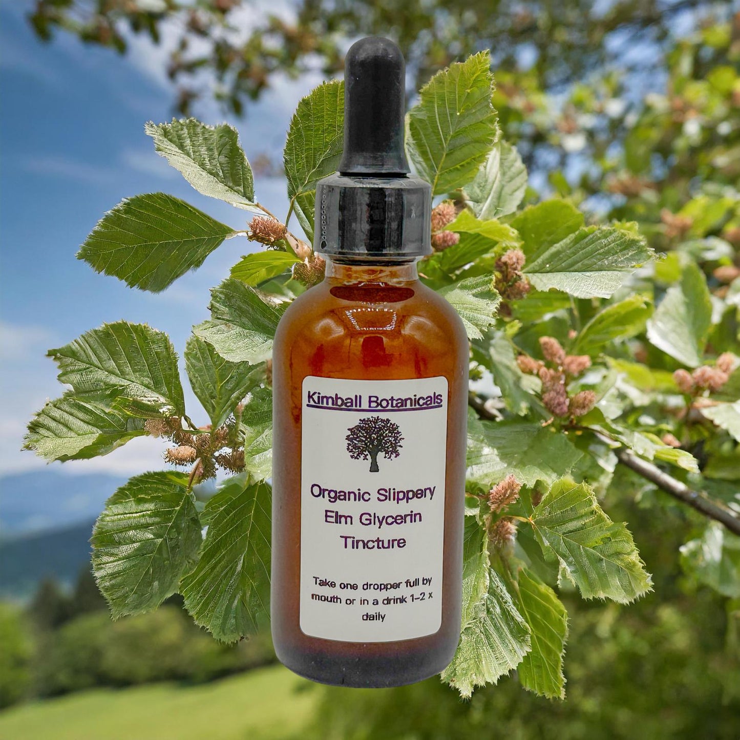 USDA Certified Organic Slippery Elm (Ulmus rubra) Glycerin Tincture Double Extracted, sustainably harvested NON GMO