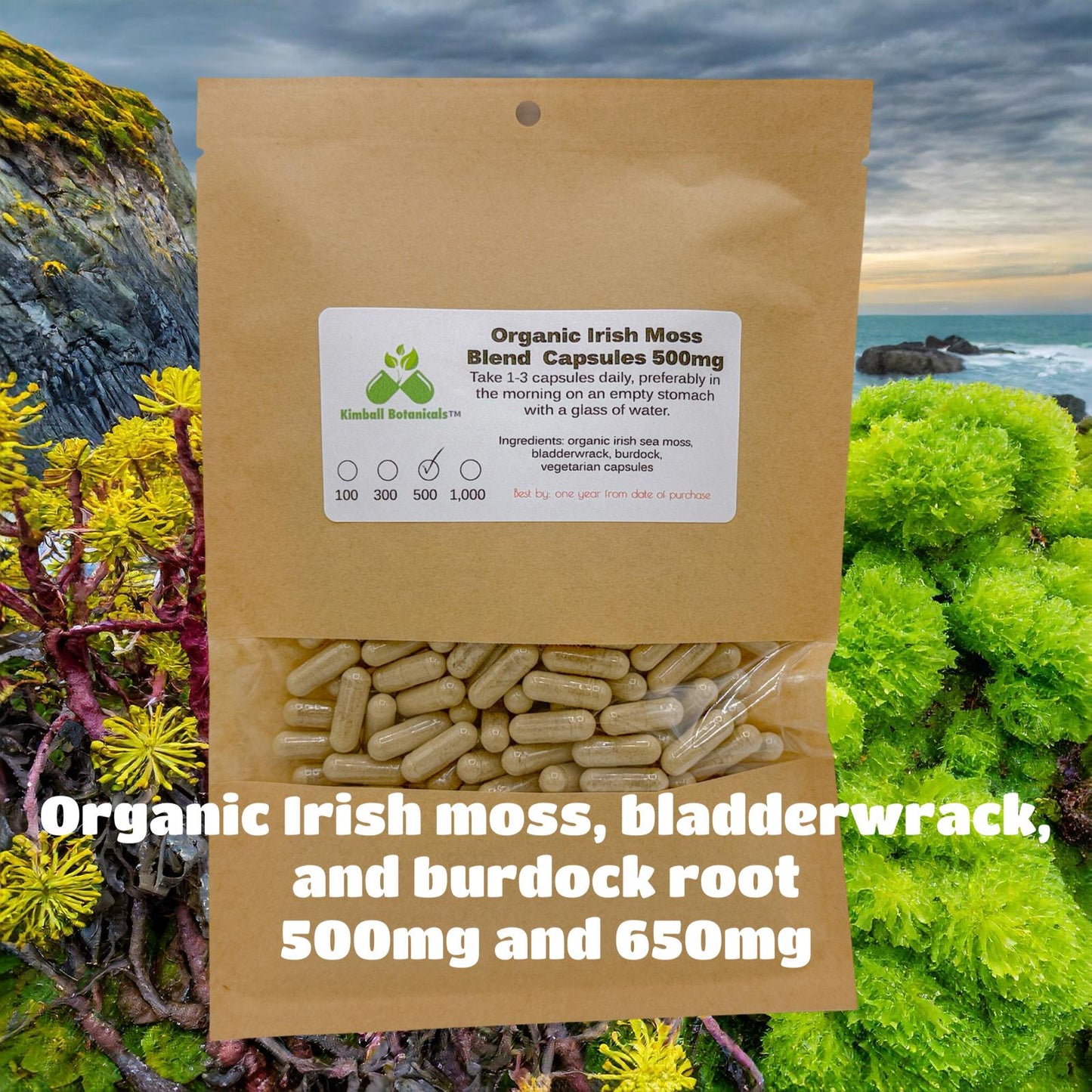 Organic Irish Moss Bladderwrack and Burdock 500mg and 650mg vegetarian or pullulan capsules or tincture, made fresh to order.