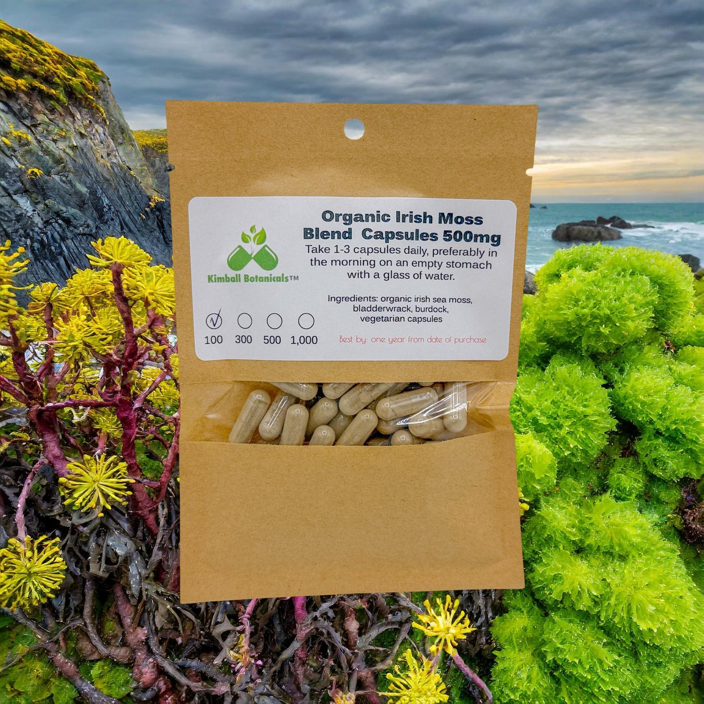 Organic Irish Moss Bladderwrack and Burdock 500mg and 650mg vegetarian or pullulan capsules or tincture, made fresh to order.
