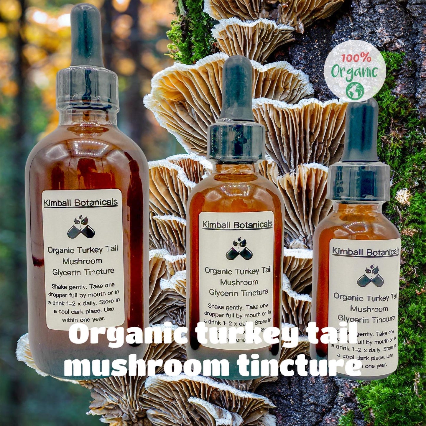 USDA Organic Turkey Tail Mushroom Double Extracted Glycerin Tincture