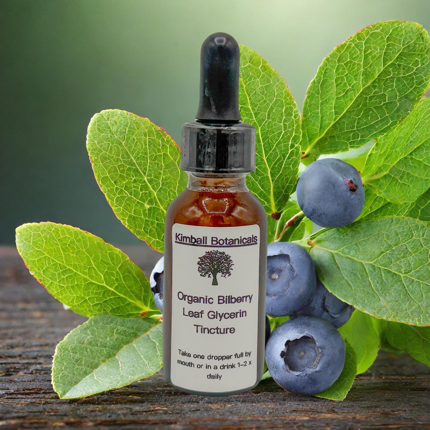 Certified Organic Handcrafted Bilberry Leaf Double Extracted Glycerin Tincture sustainably harvested NON GMO