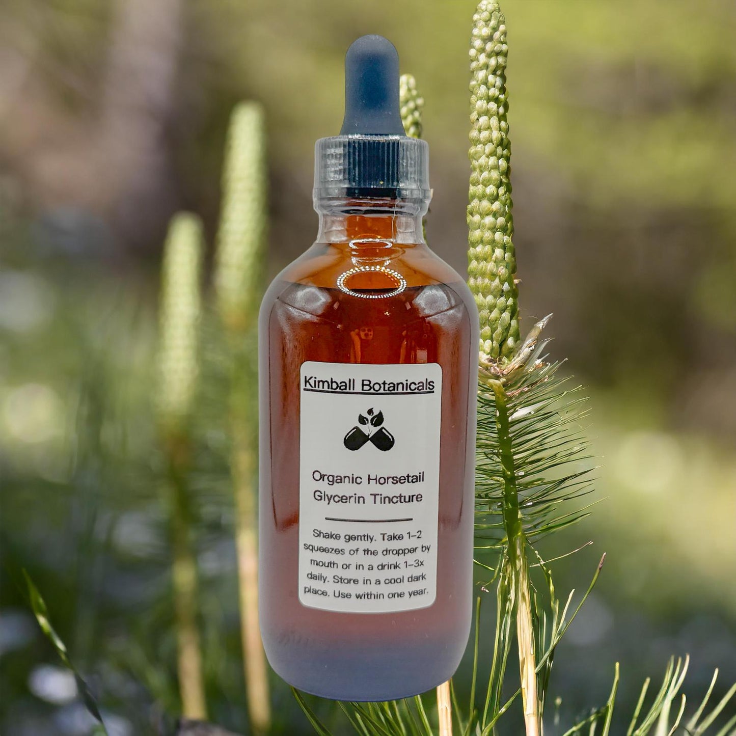 USDA Certified Organic Handcrafted Horsetail Glycerin Tincture double extracted, sustainably harvested NON GMO