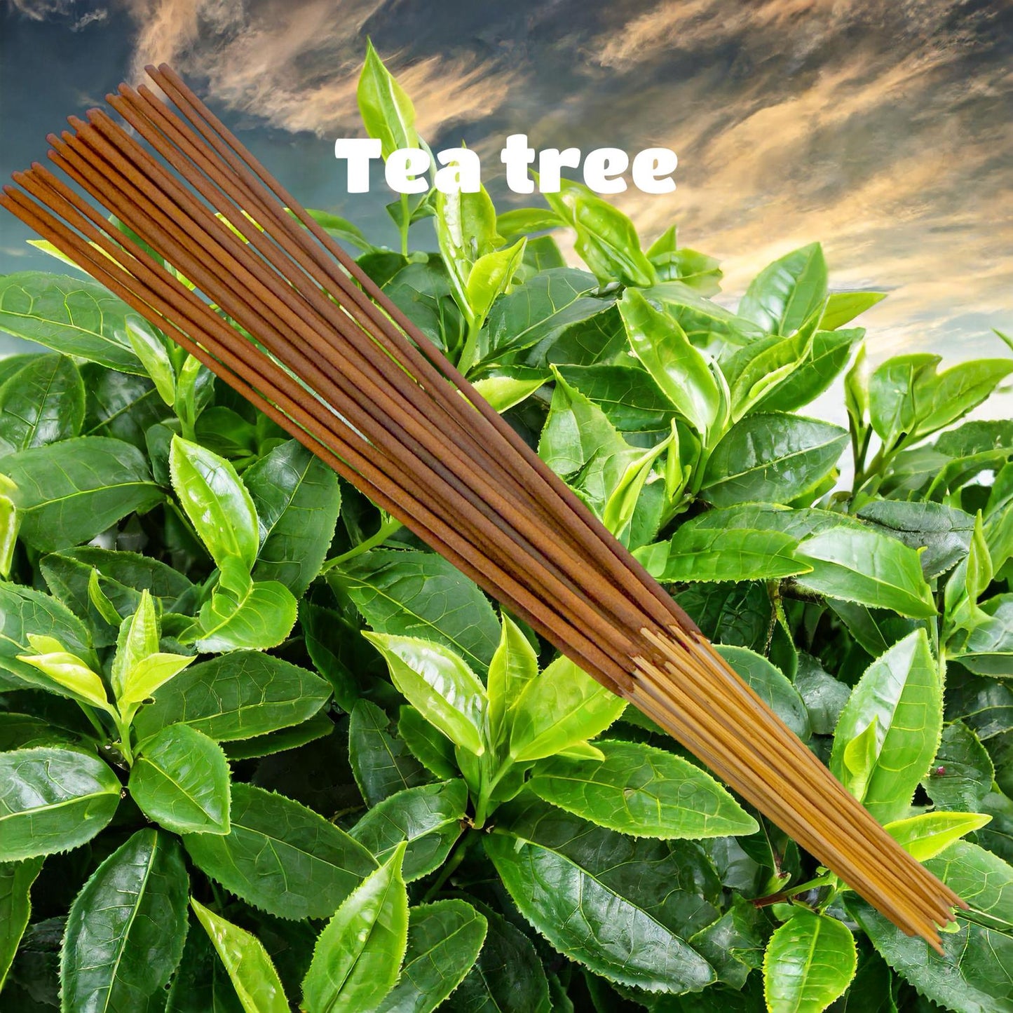 Custom Handmade Organic Herbal Incense Sticks Aromatherapy Essential Oils, You Choose Scent
