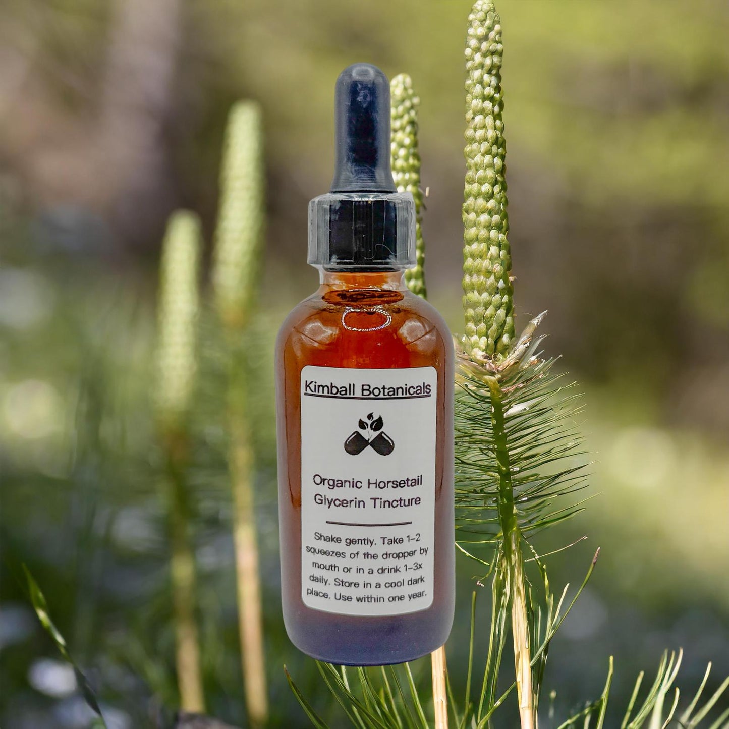 USDA Certified Organic Handcrafted Horsetail Glycerin Tincture double extracted, sustainably harvested NON GMO