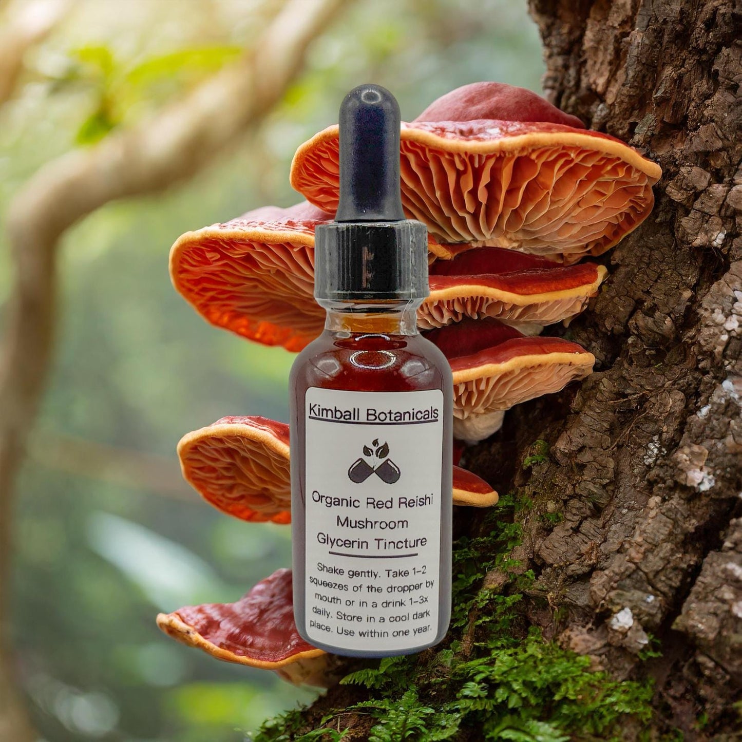 USDA Organic Red Reishi Mushroom Double Extracted Glycerin Tincture