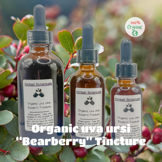 Certified Organic Uva Ursi "Bearberry" Leaf Glycerin Tincture Double Extracted