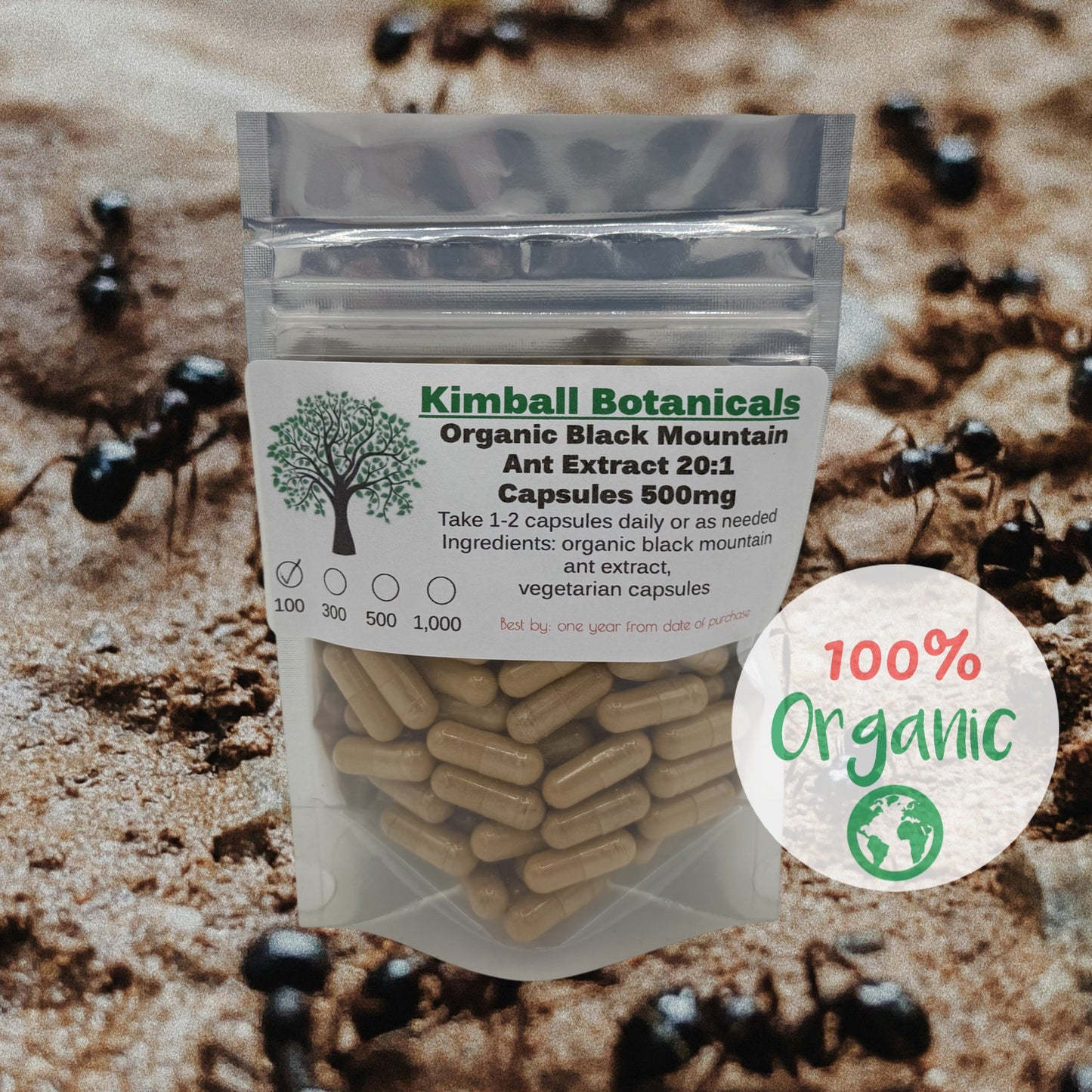 Organic Black Mountain Ant (Polyrhachis lamellidens) 20:1 extract, 500mg vegetarian capsules made fresh to order.