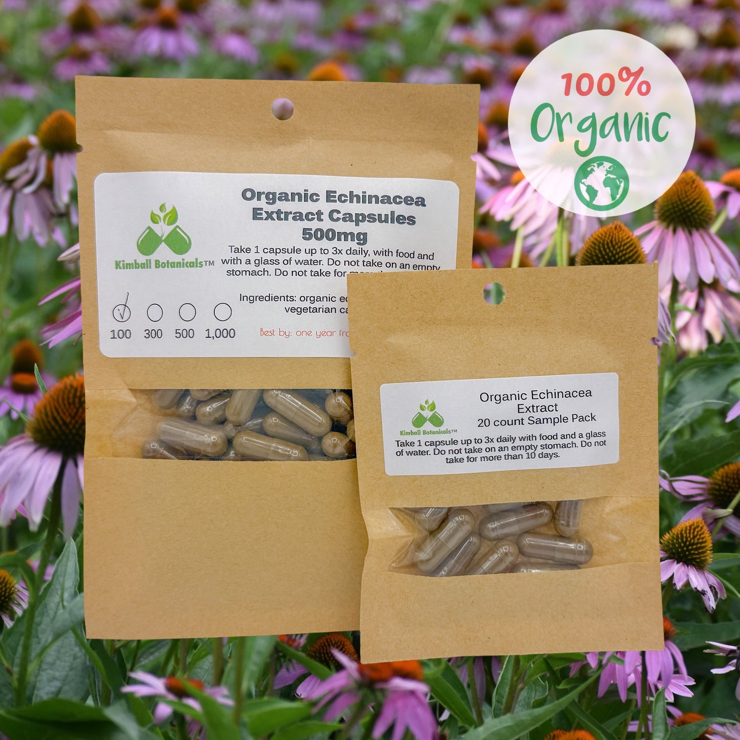 Organic Echinacea Extract (Echinacea purpurea) 500mg and 650mg vegetarian capsules, made fresh to order