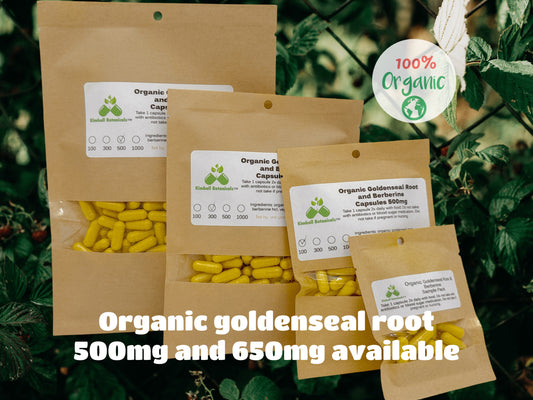 Organic Goldenseal Root and Berberine (Hydrastis canadensis) 500mg and 650mg vegetarian capsules made fresh to order