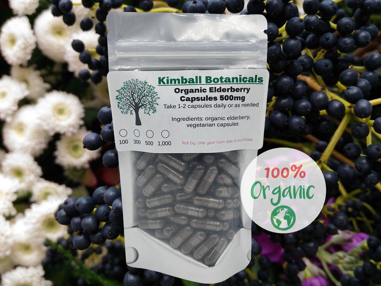 Organic Elderberry (Sambucus nigra) 500mg vegetarian capsules made fresh to order.