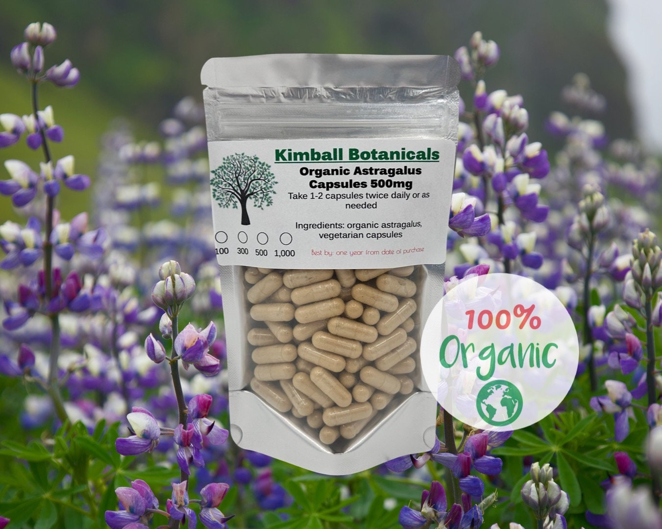 organic astragalus capsules 500mg