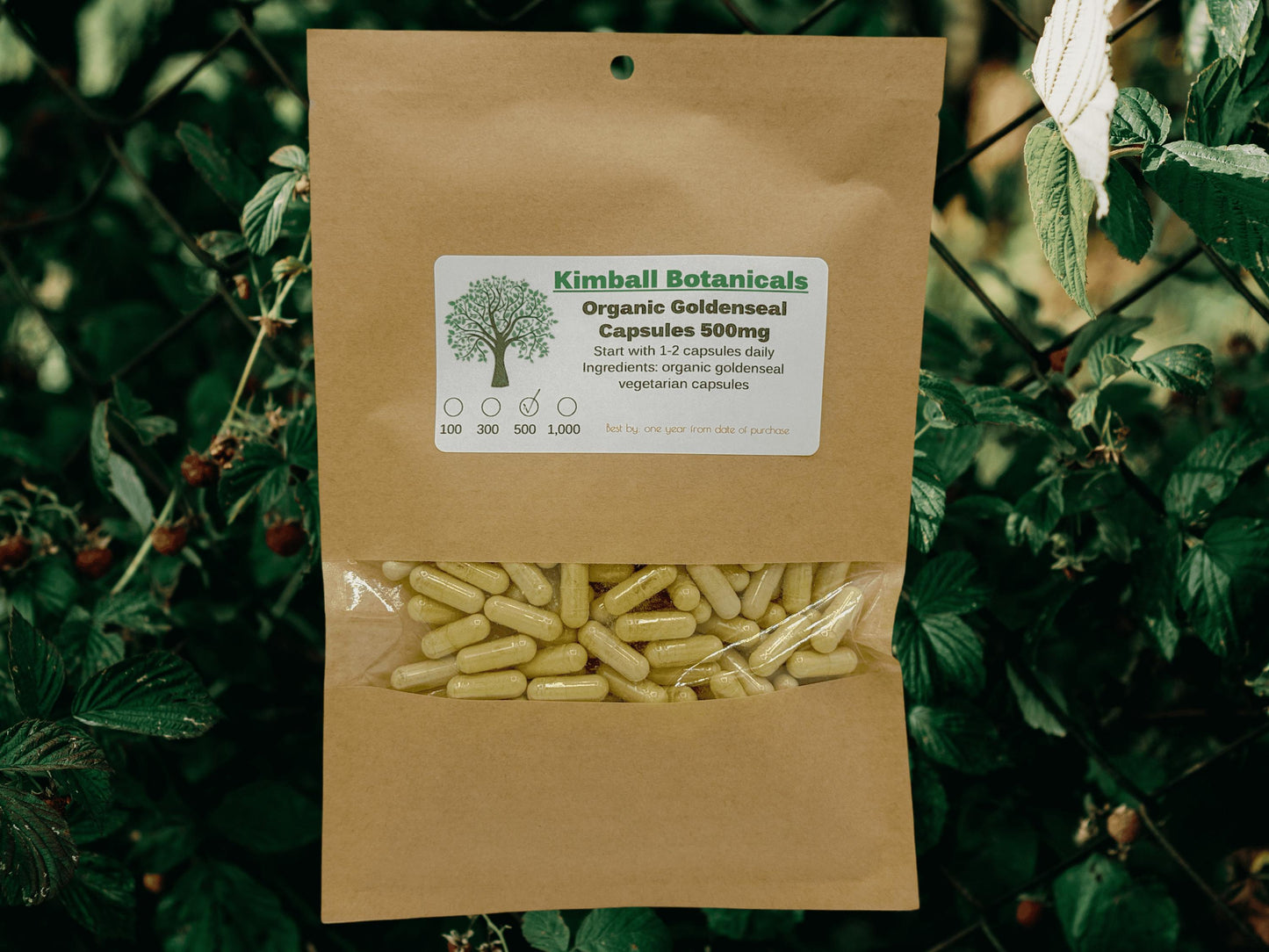 Organic Goldenseal Root (Hydrastis canadensis) 500mg vegetarian capsules made fresh to order