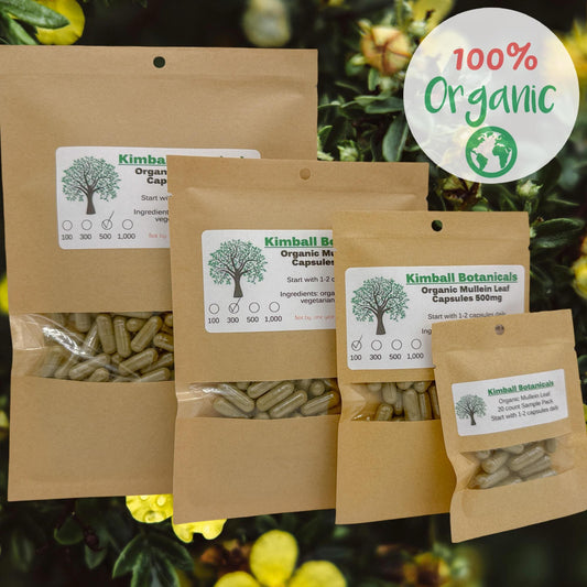 organic mullein leaf capsules 500mg and 650mg handcrafted sample size to bulk vegetarian