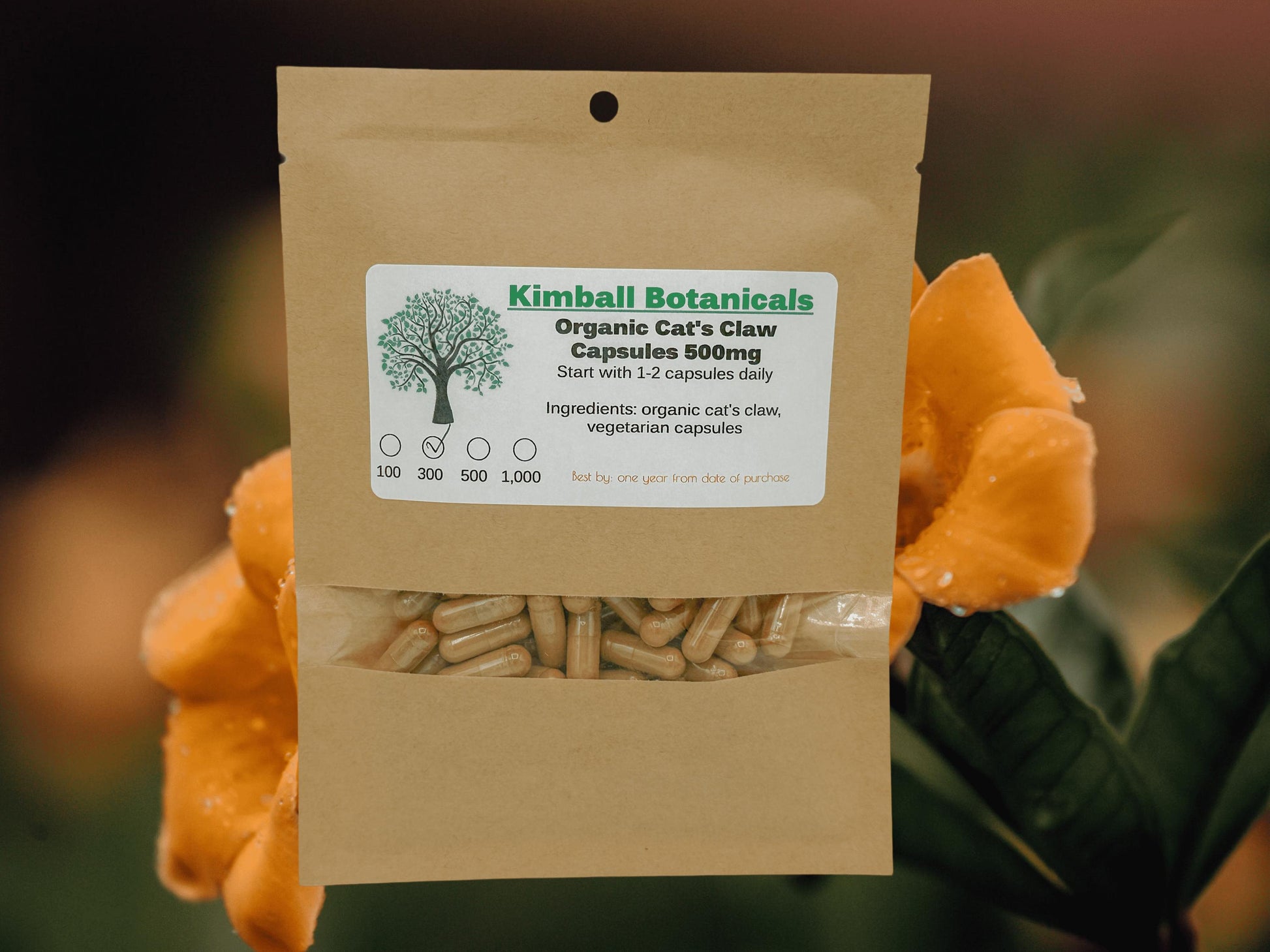 Organic Cats Claw (uncaria tomentosa) 500mg and 650mg Vegetarian or Pullulan Capsules, made fresh to order