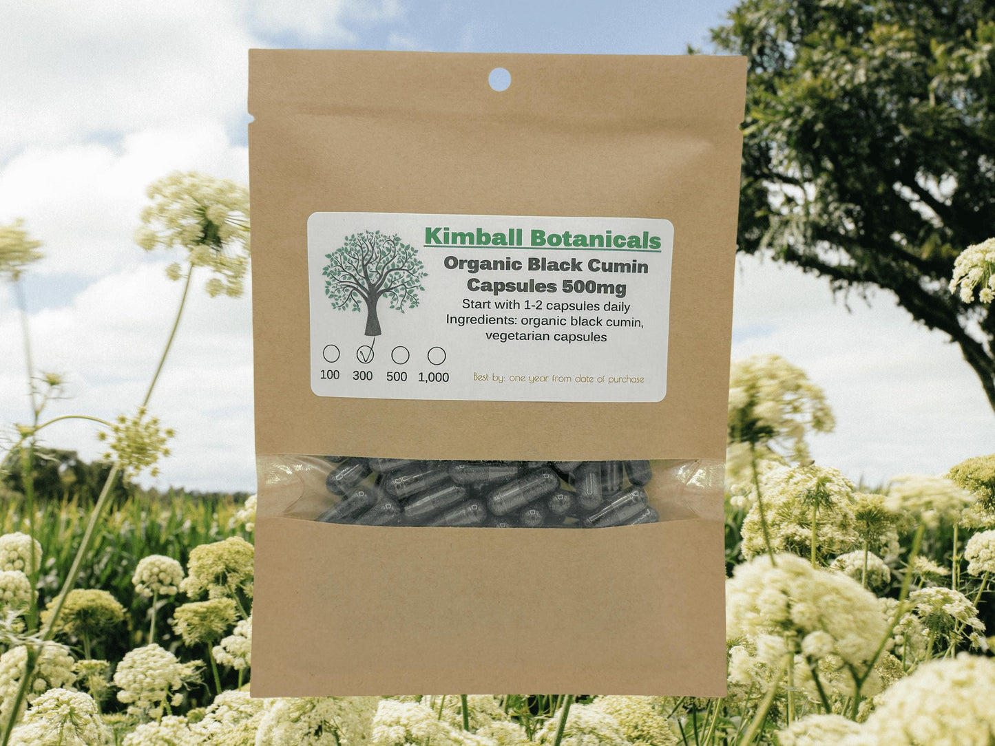 Organic Black Cumin Seed (Nigella sativa) 500mg and 650mg, vegetarian or pullulan capsules, made fresh to order