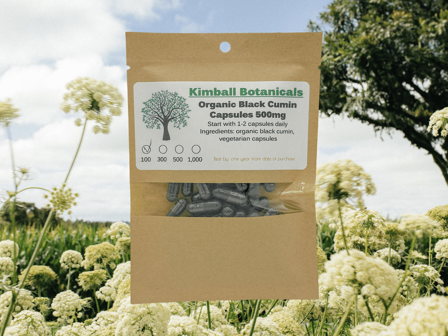 Organic Black Cumin Seed (Nigella sativa) 500mg and 650mg, vegetarian or pullulan capsules, made fresh to order