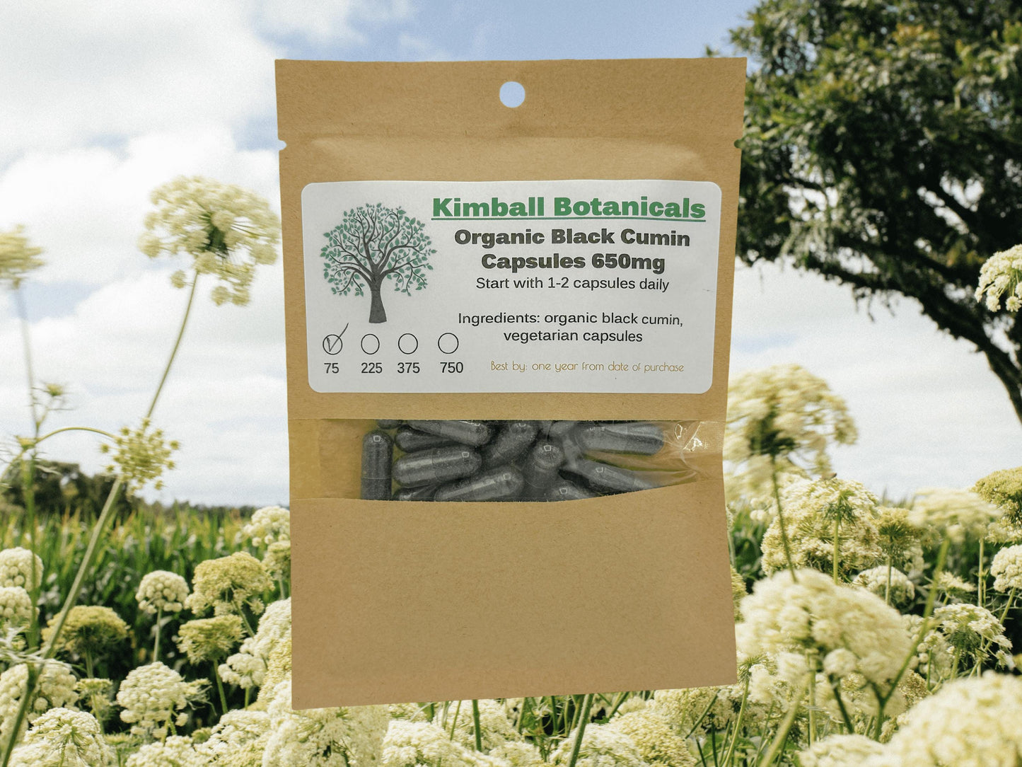 Organic Black Cumin Seed (Nigella sativa) 500mg and 650mg, vegetarian or pullulan capsules, made fresh to order
