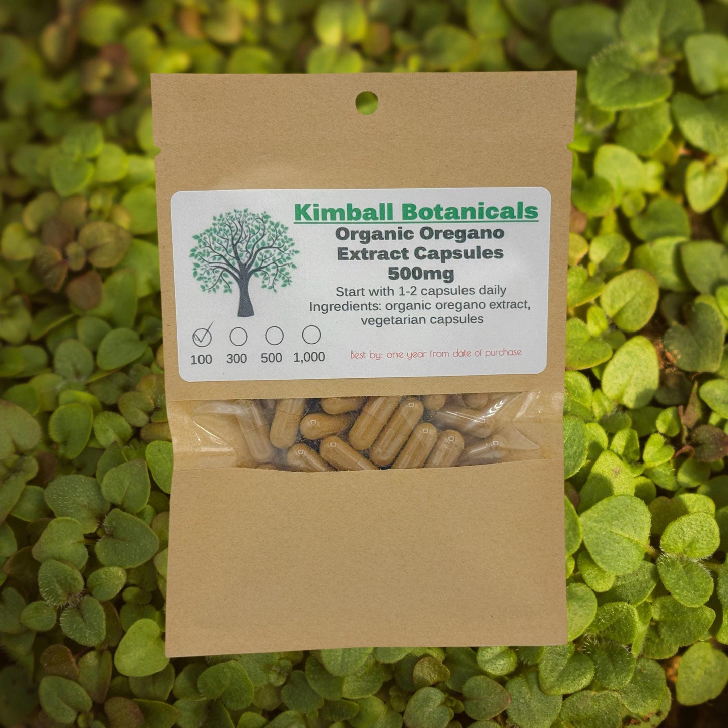 Organic Oregano Extract (origanum vulgare) 500mg and 650mg vegetarian capsules made fresh to order