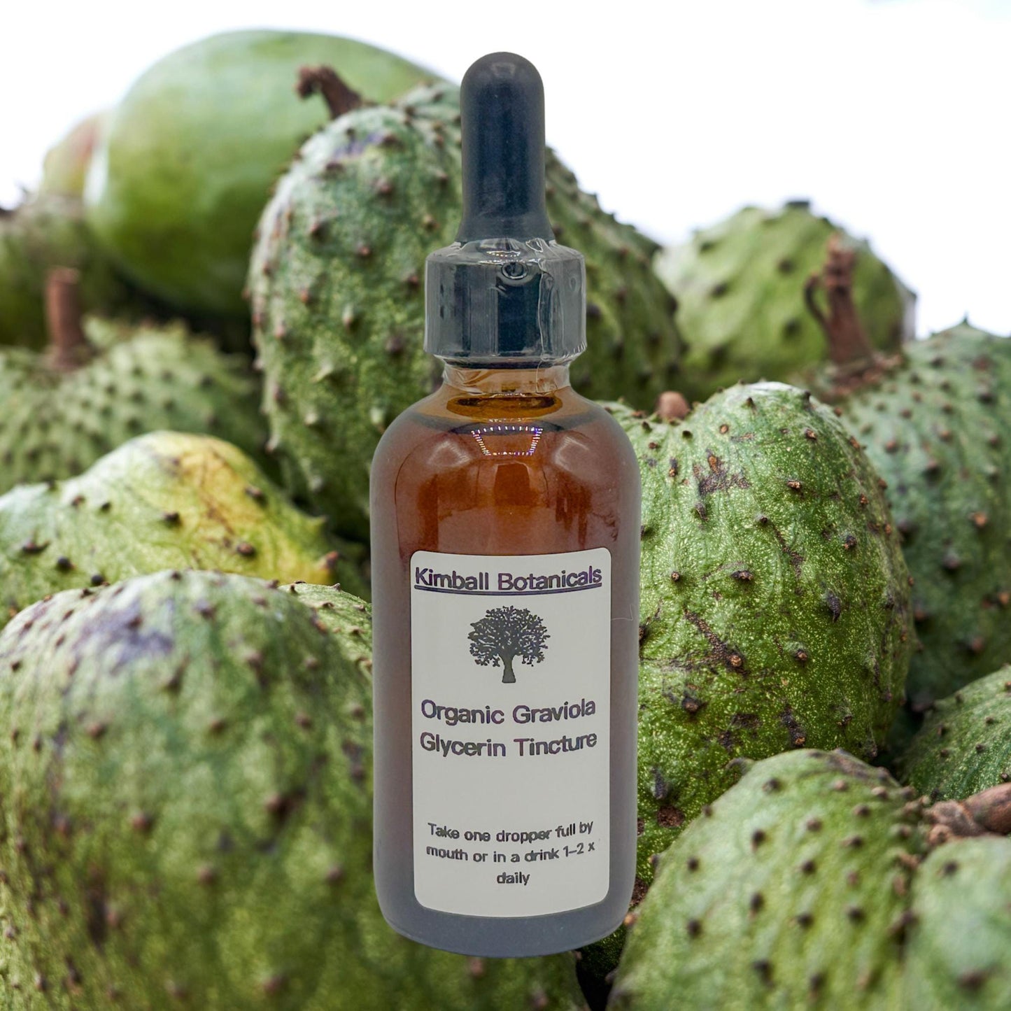 Organic Handcrafted Graviola Soursop Vegetable Glycerin Tincture (soy derived) sustainably harvested NON GMO