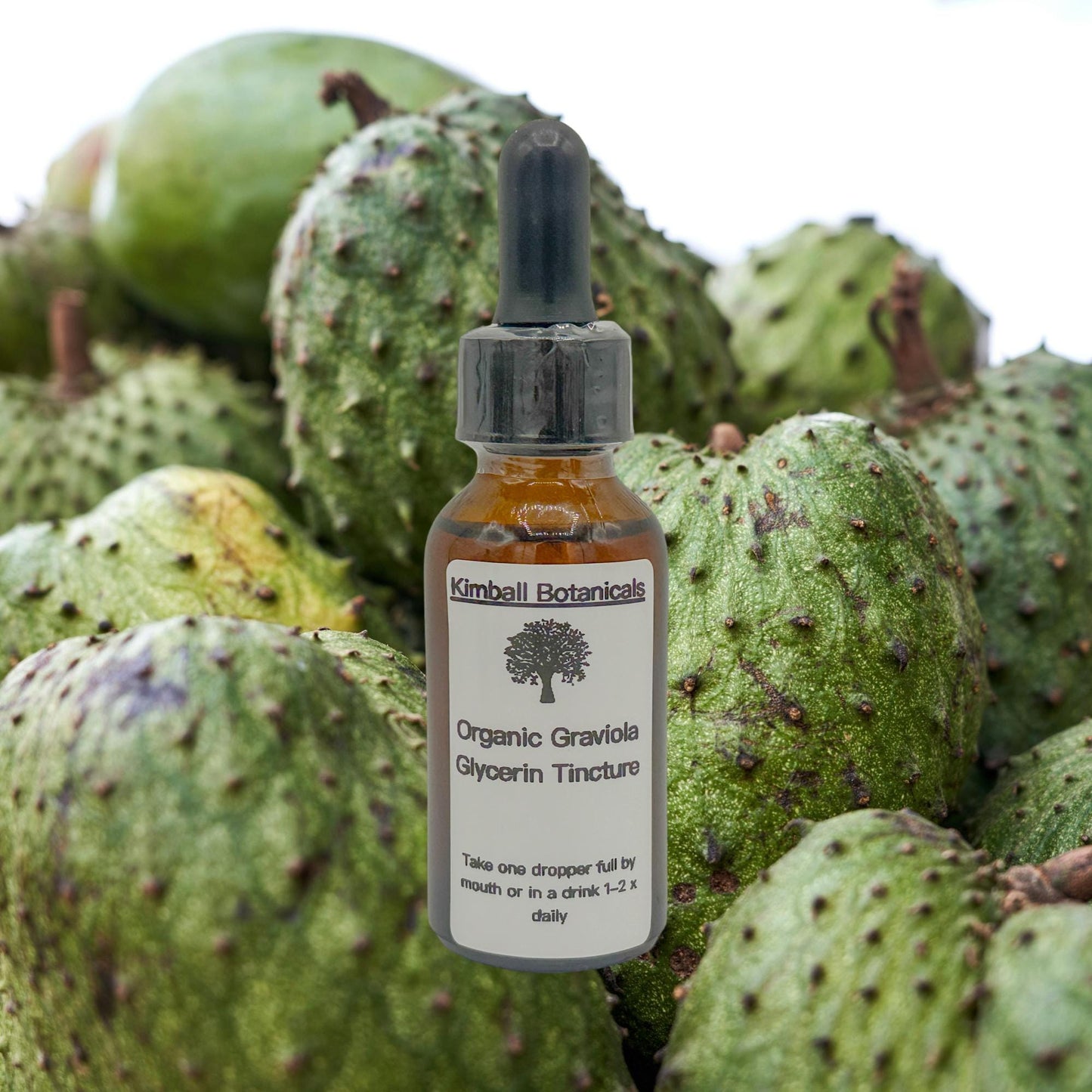 Organic Handcrafted Graviola Soursop Vegetable Glycerin Tincture (soy derived) sustainably harvested NON GMO