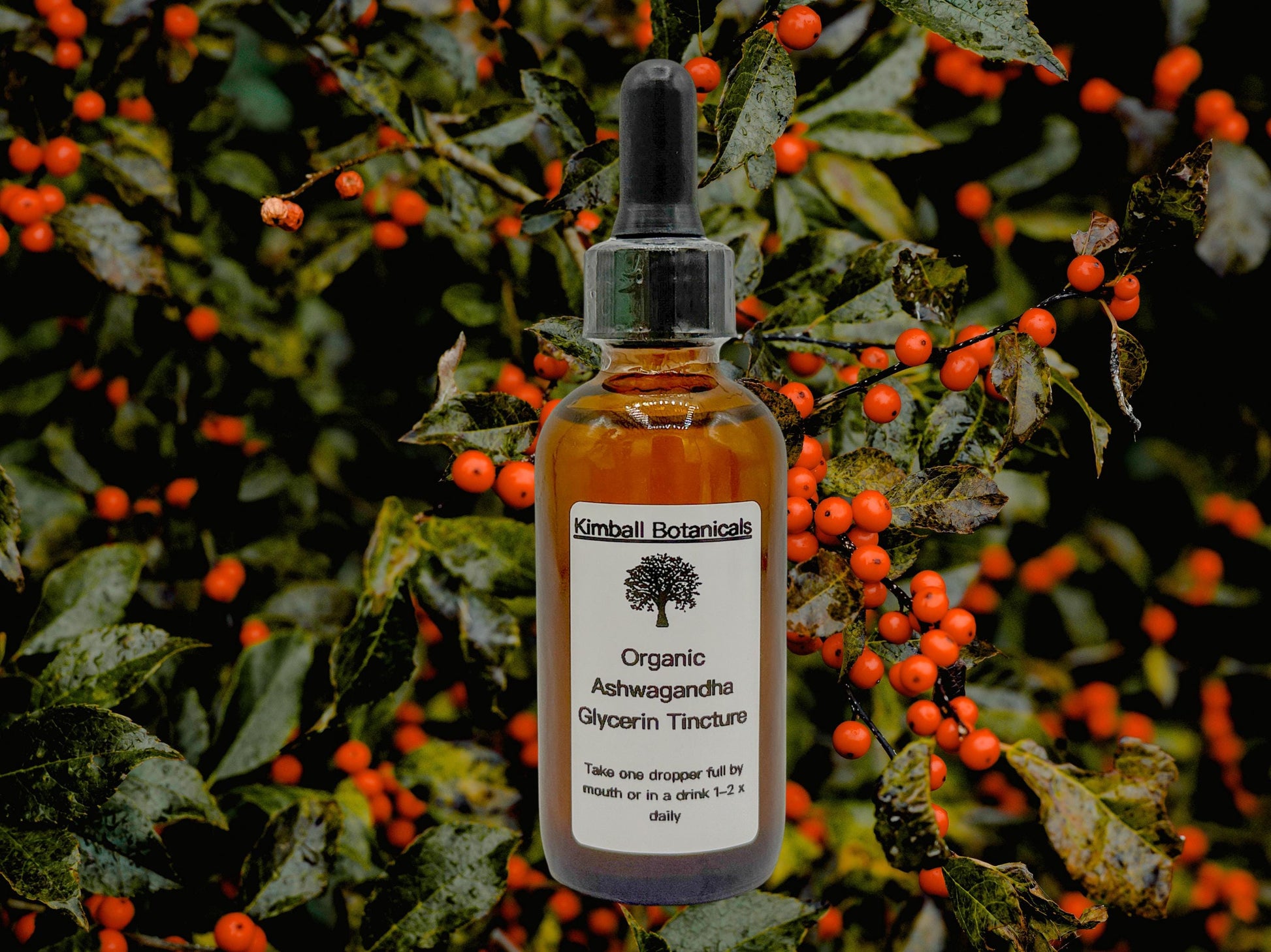 Organic Handcrafted Ashwagandha Root Glycerin Tincture sustainably harvested NON GMO