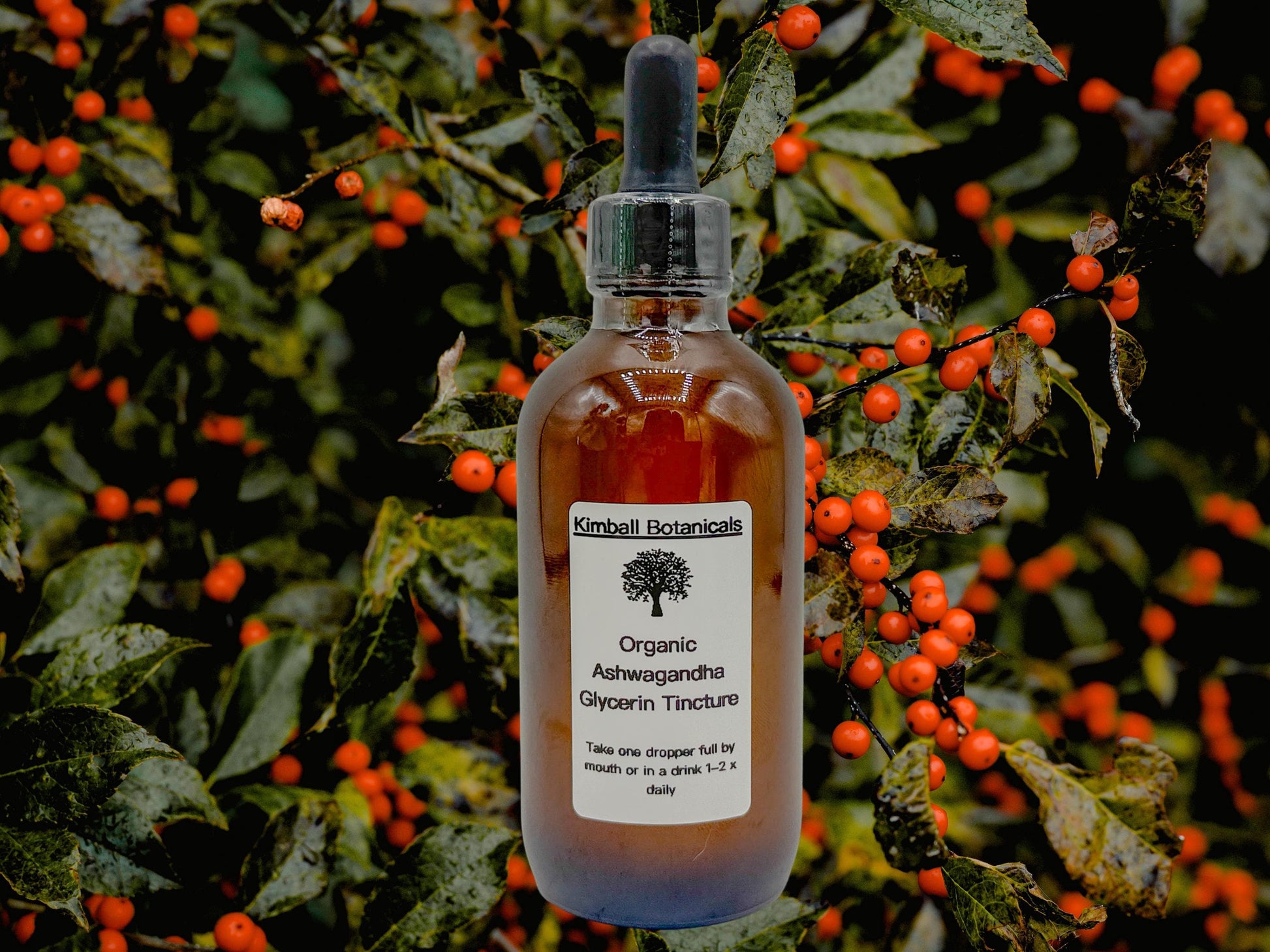 Organic Handcrafted Ashwagandha Root Glycerin Tincture sustainably harvested NON GMO