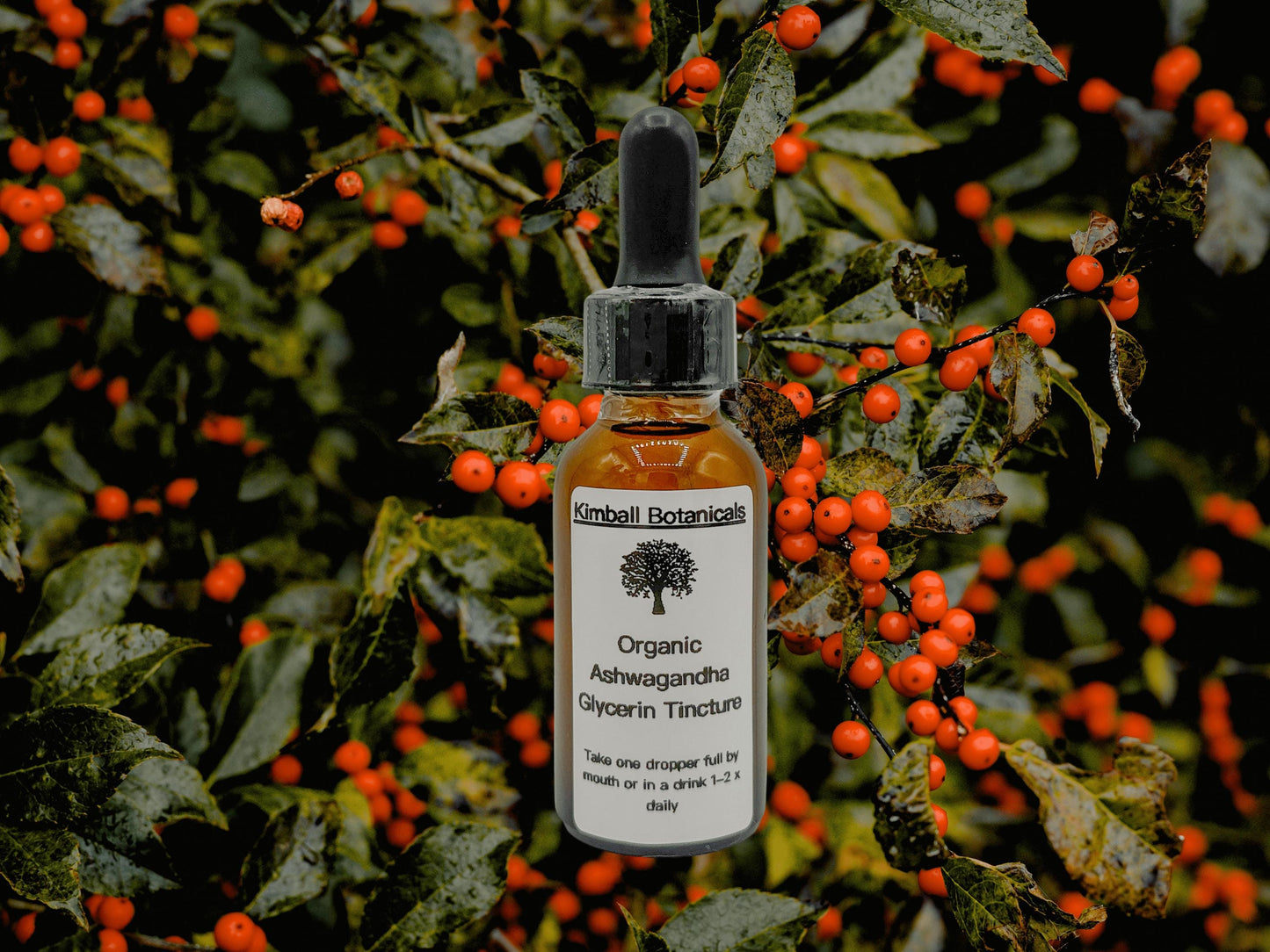 USDA Organic Handcrafted Ashwagandha Root Glycerin Tincture double extracted, sustainably harvested NON GMO