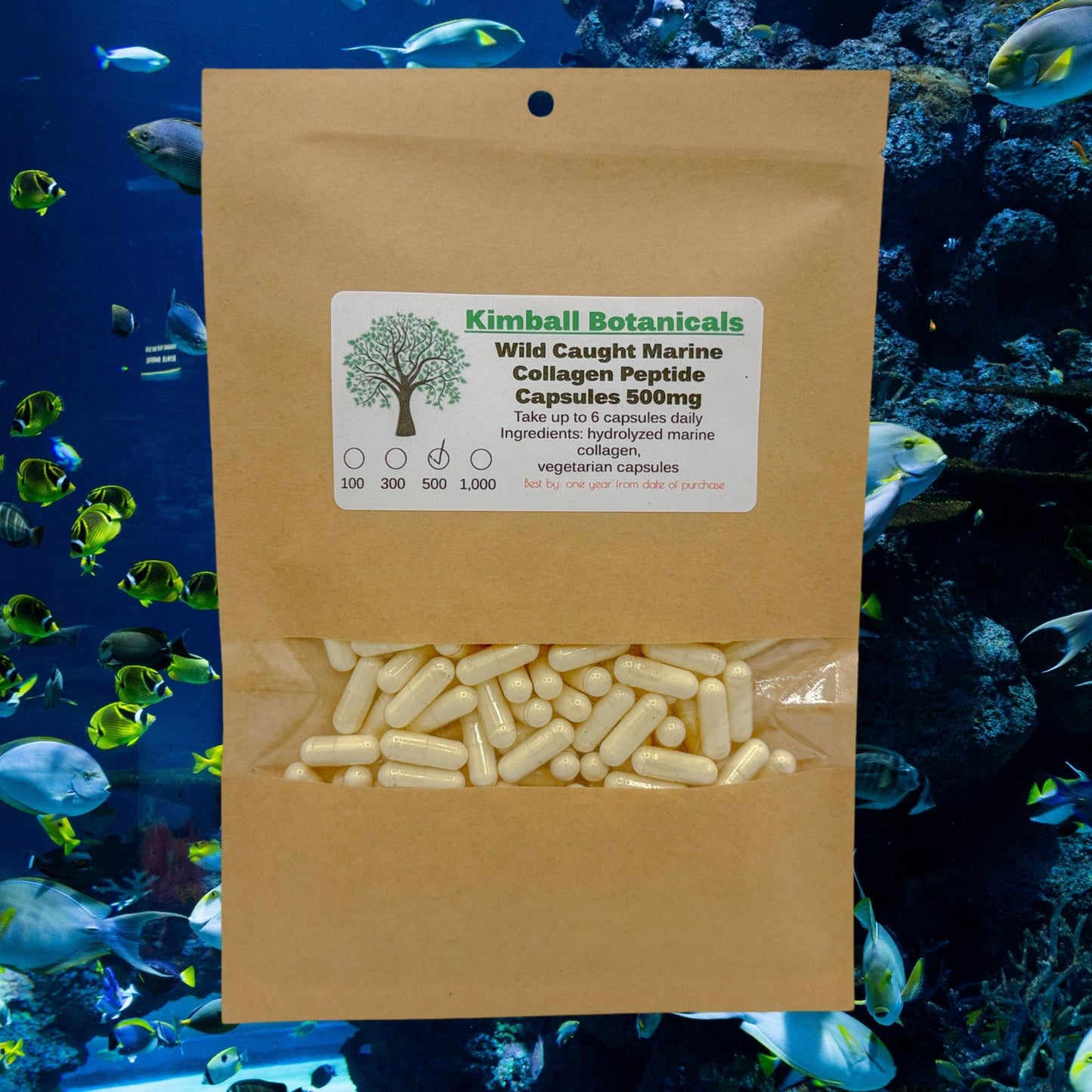 Wild Caught Marine Fish Collagen Peptides 500mg and 650mg capsules, made fresh to order