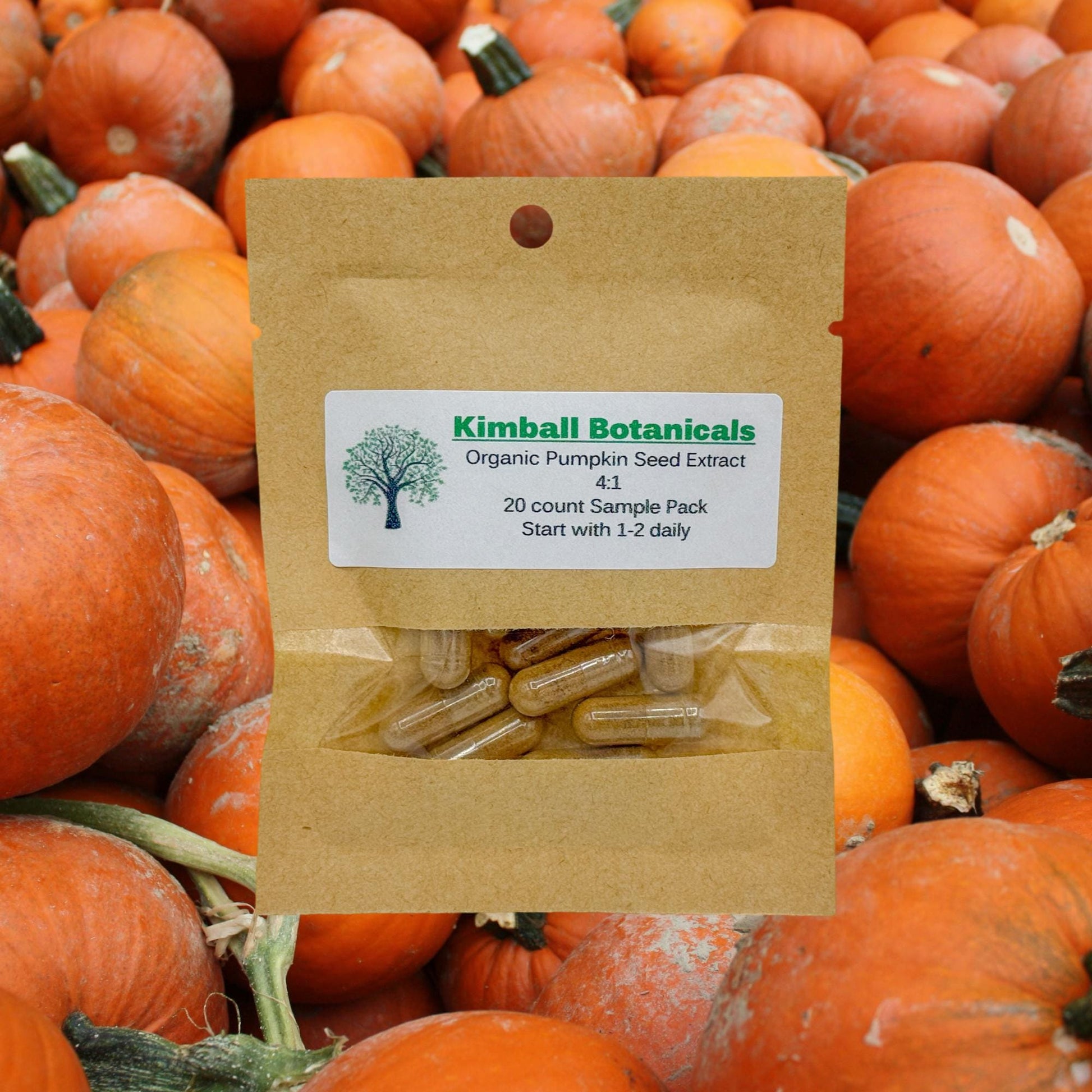 Organic Pumpkin Seed 4:1 Extract (cucurbita pepo) 500mg or 650mg vegetarian capsules made fresh to order.