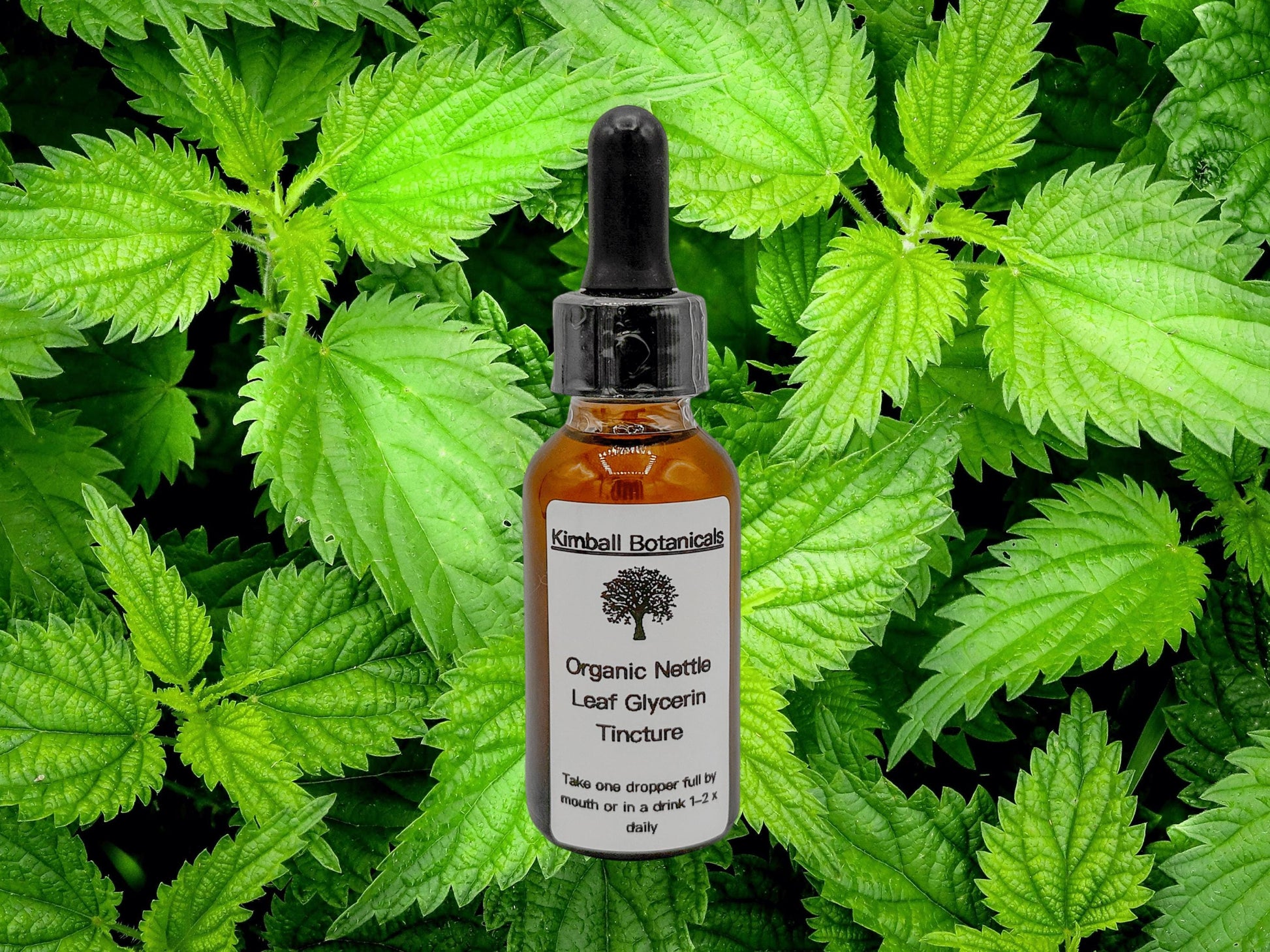 Organic Handcrafted Nettle Leaf Vegetable Glycerin Tincture (soy derived) sustainably harvested NON GMO