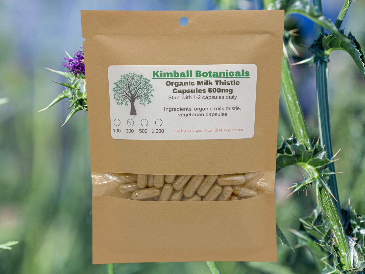 Certified Organic Milk Thistle (Silybum marianum) 500mg and 650mg vegetarian or pullulan capsules made fresh to order