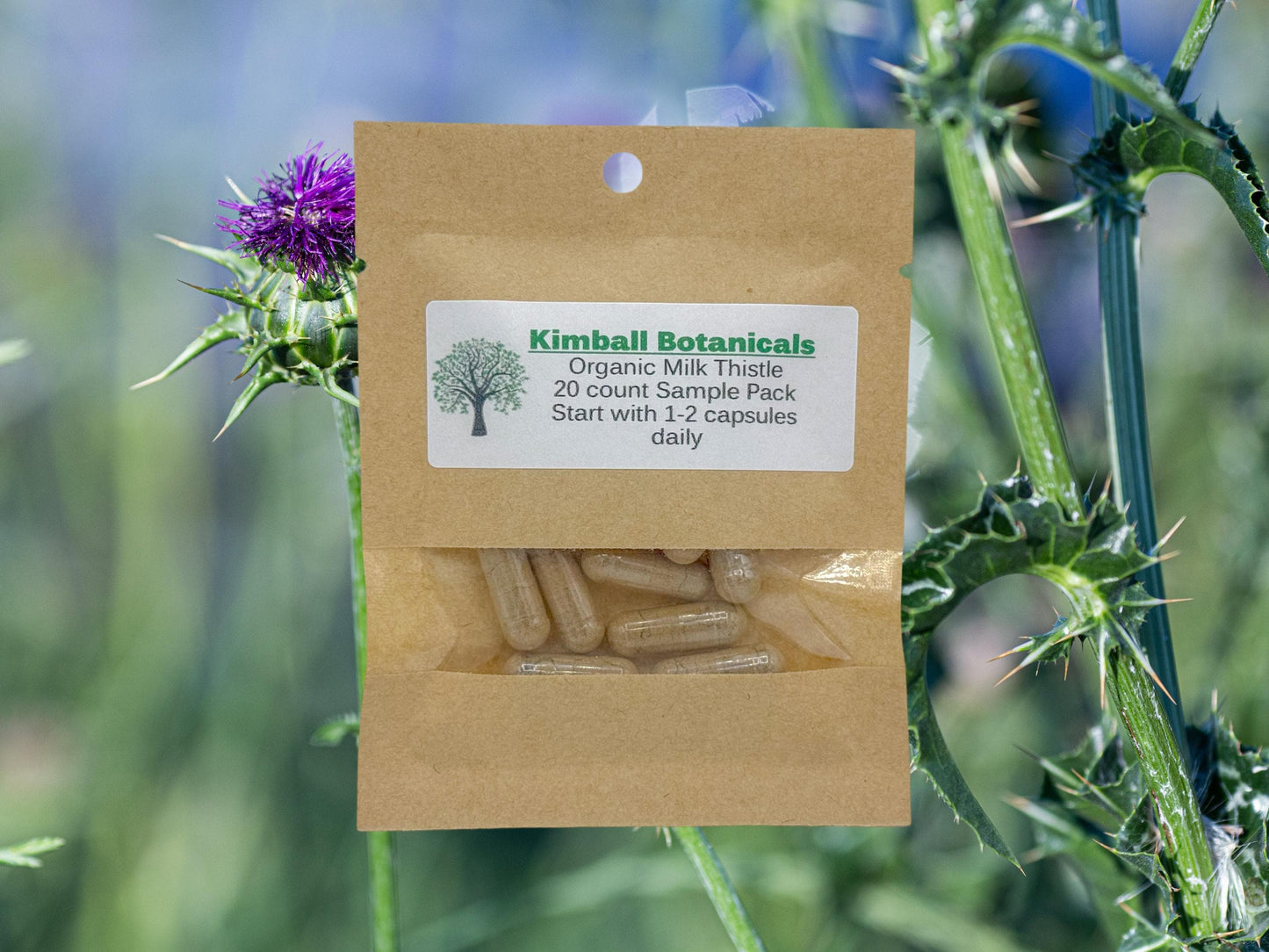 Certified Organic Milk Thistle (Silybum marianum) 500mg and 650mg vegetarian or pullulan capsules made fresh to order