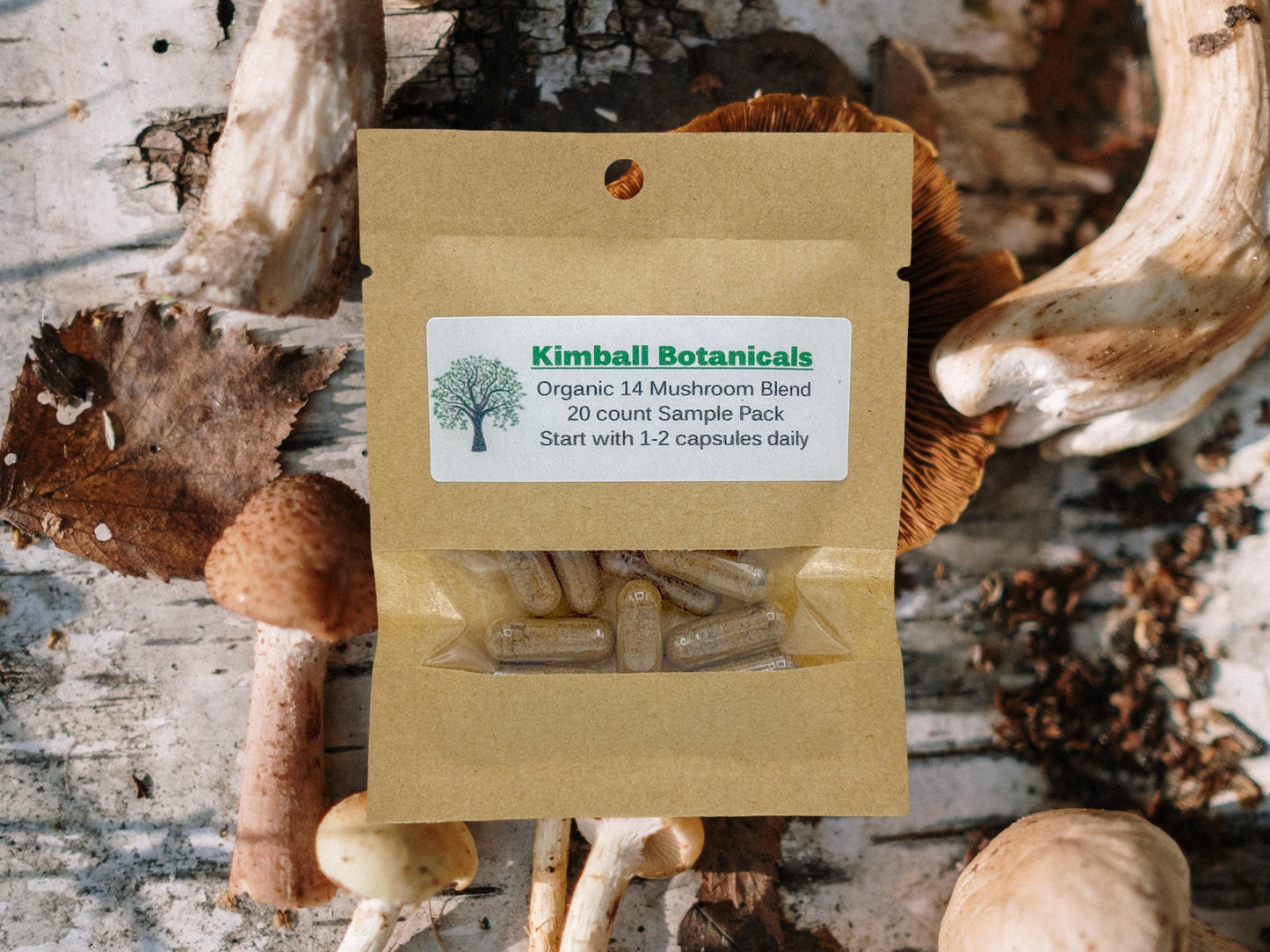 Organic 14 Mushroom Blend, 500mg vegetarian capsules made fresh to order without any fillers.