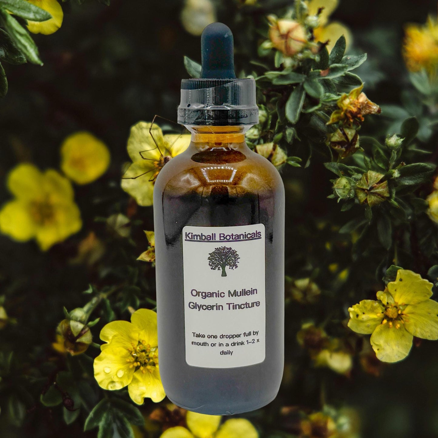Certified Organic Handcrafted Mullein Leaf Vegetable Glycerin Tincture double extracted, sustainably harvested NON GMO