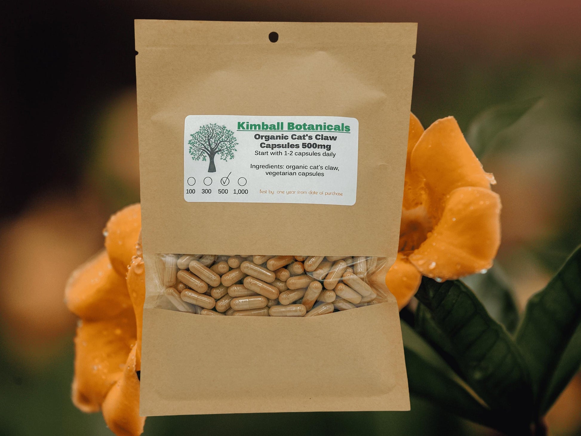 Organic Cats Claw (uncaria tomentosa) 500mg and 650mg Vegetarian or Pullulan Capsules, made fresh to order