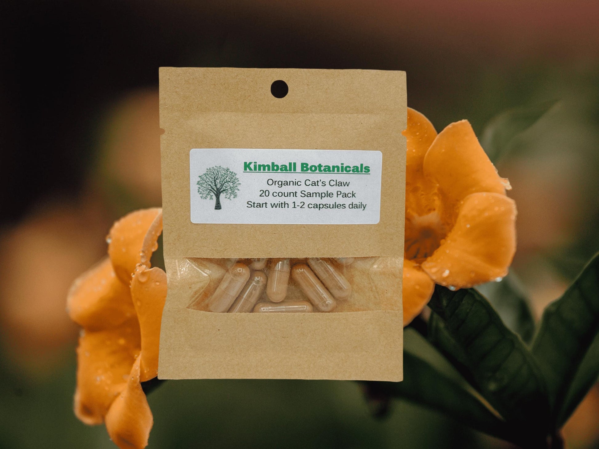 Organic Cats Claw (uncaria tomentosa) 500mg and 650mg Vegetarian or Pullulan Capsules, made fresh to order
