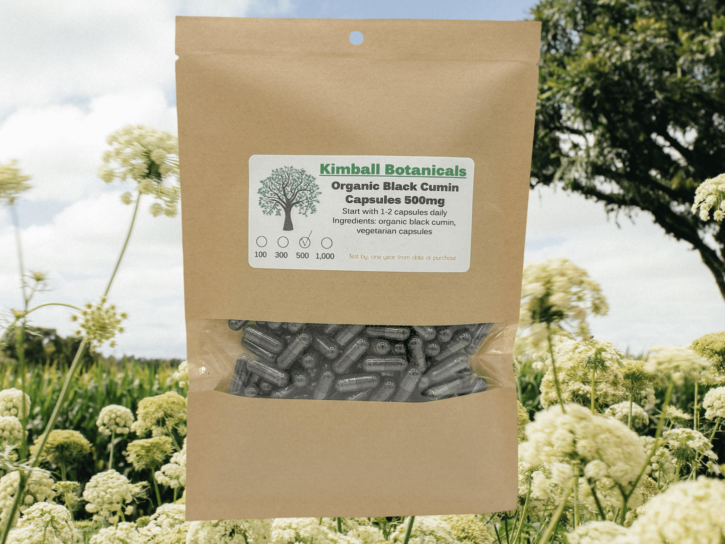 Organic Black Cumin Seed (Nigella sativa) 500mg and 650mg, vegetarian or pullulan capsules, made fresh to order