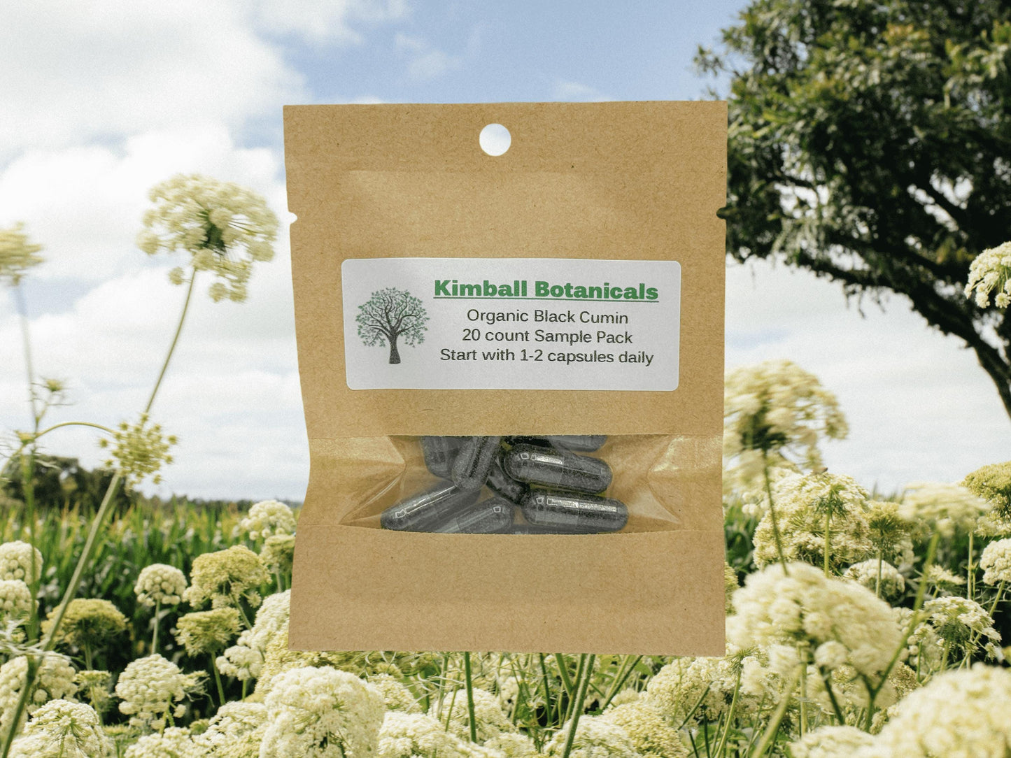 Organic Black Cumin Seed (Nigella sativa) 500mg and 650mg, vegetarian or pullulan capsules, made fresh to order