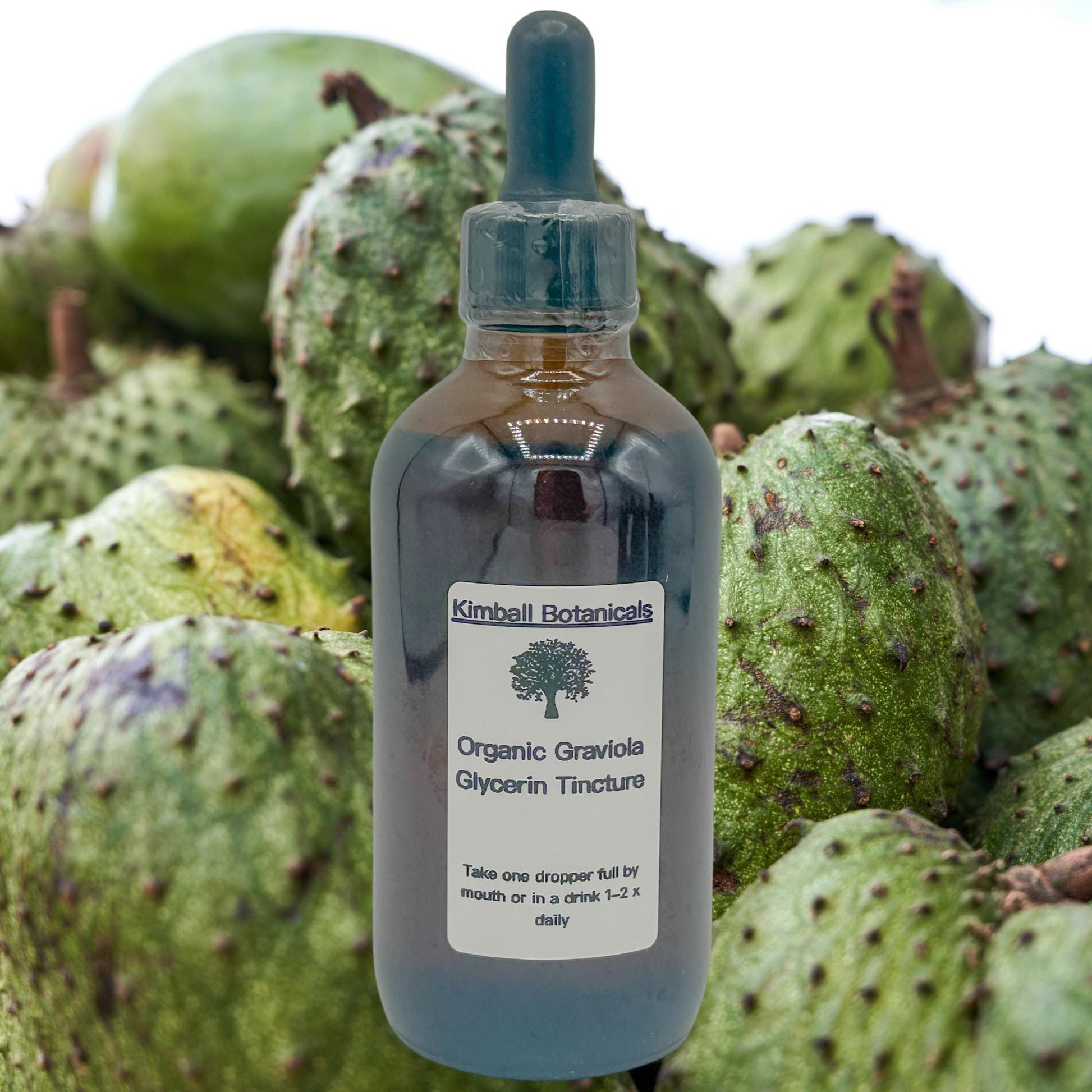 Organic Graviola Soursop Leaf (Annona muricata) 500mg or 650mg vegetarian pullulan capsules or tincture, made fresh to order