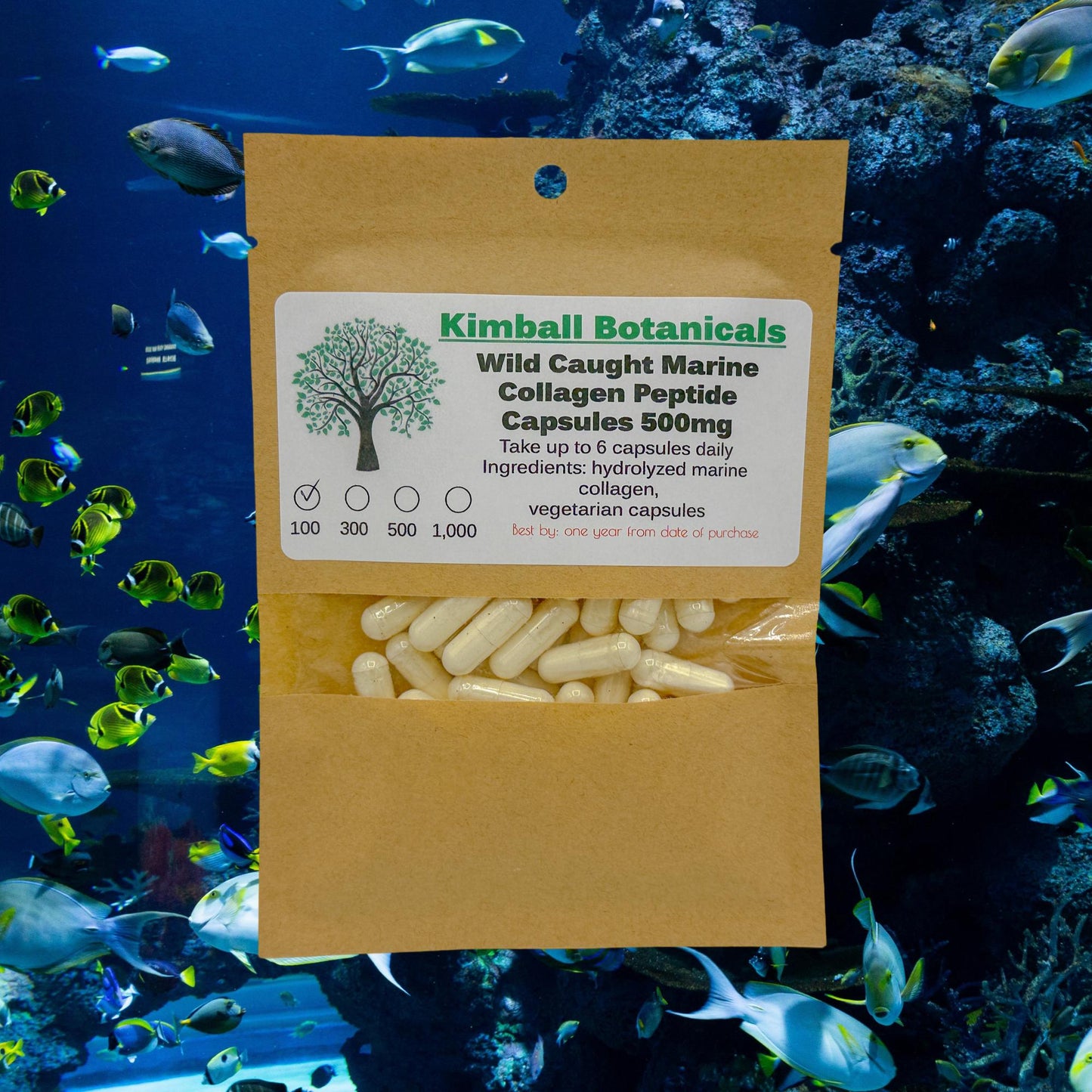 Wild Caught Marine Fish Collagen Peptides 500mg and 650mg capsules, made fresh to order