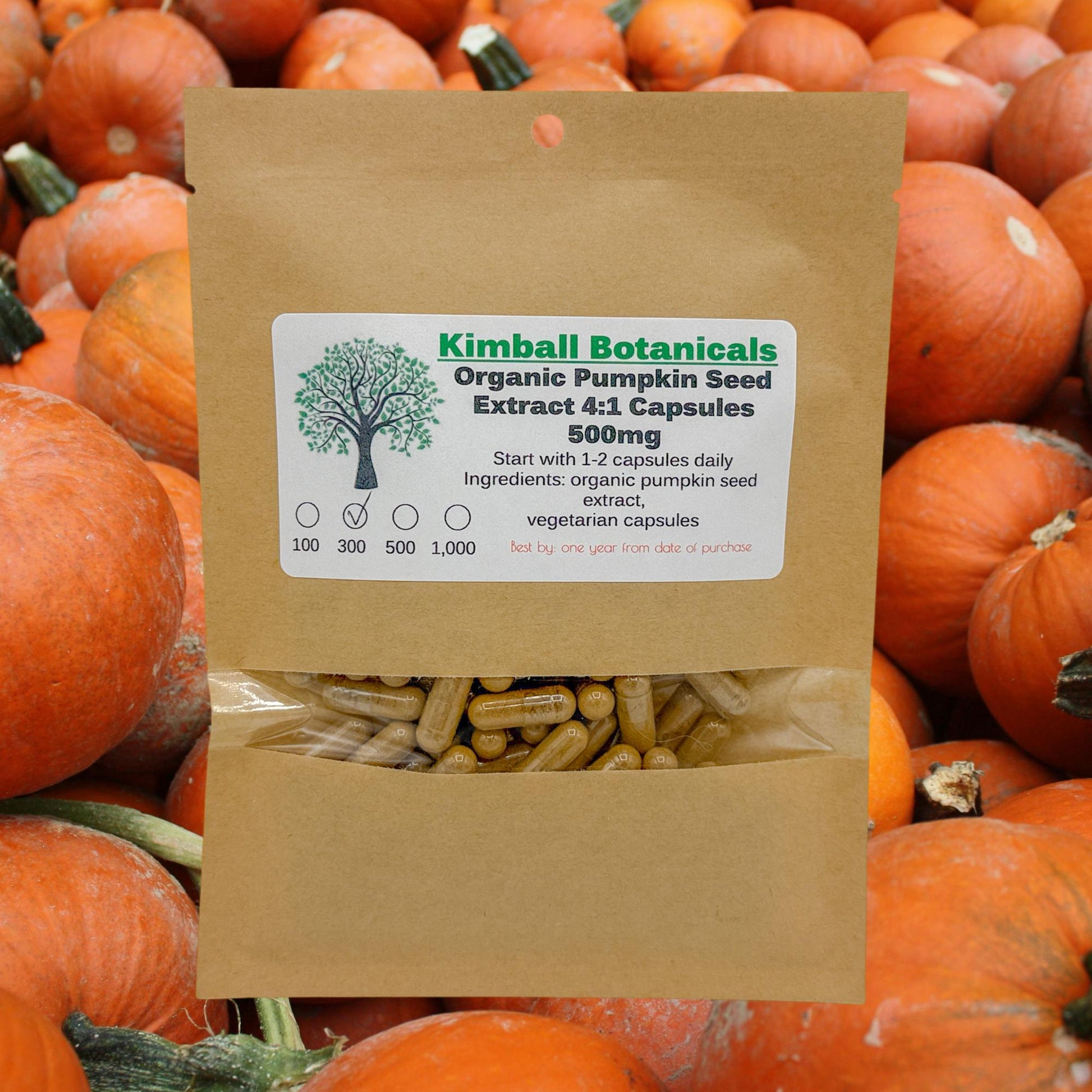 Organic Pumpkin Seed 4:1 Extract (cucurbita pepo) 500mg or 650mg vegetarian capsules made fresh to order.