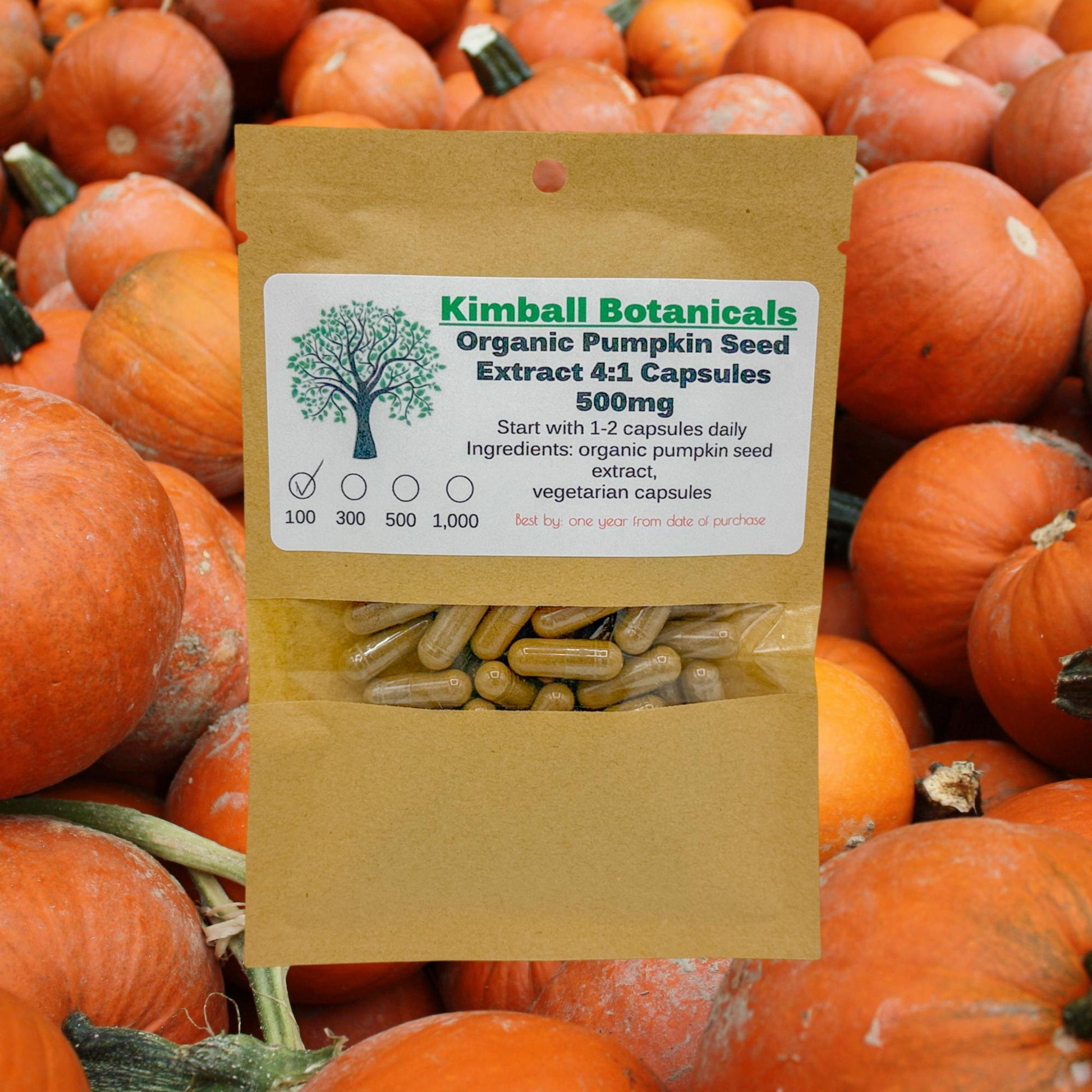 Organic Pumpkin Seed 4:1 Extract (cucurbita pepo) 500mg or 650mg vegetarian capsules made fresh to order.