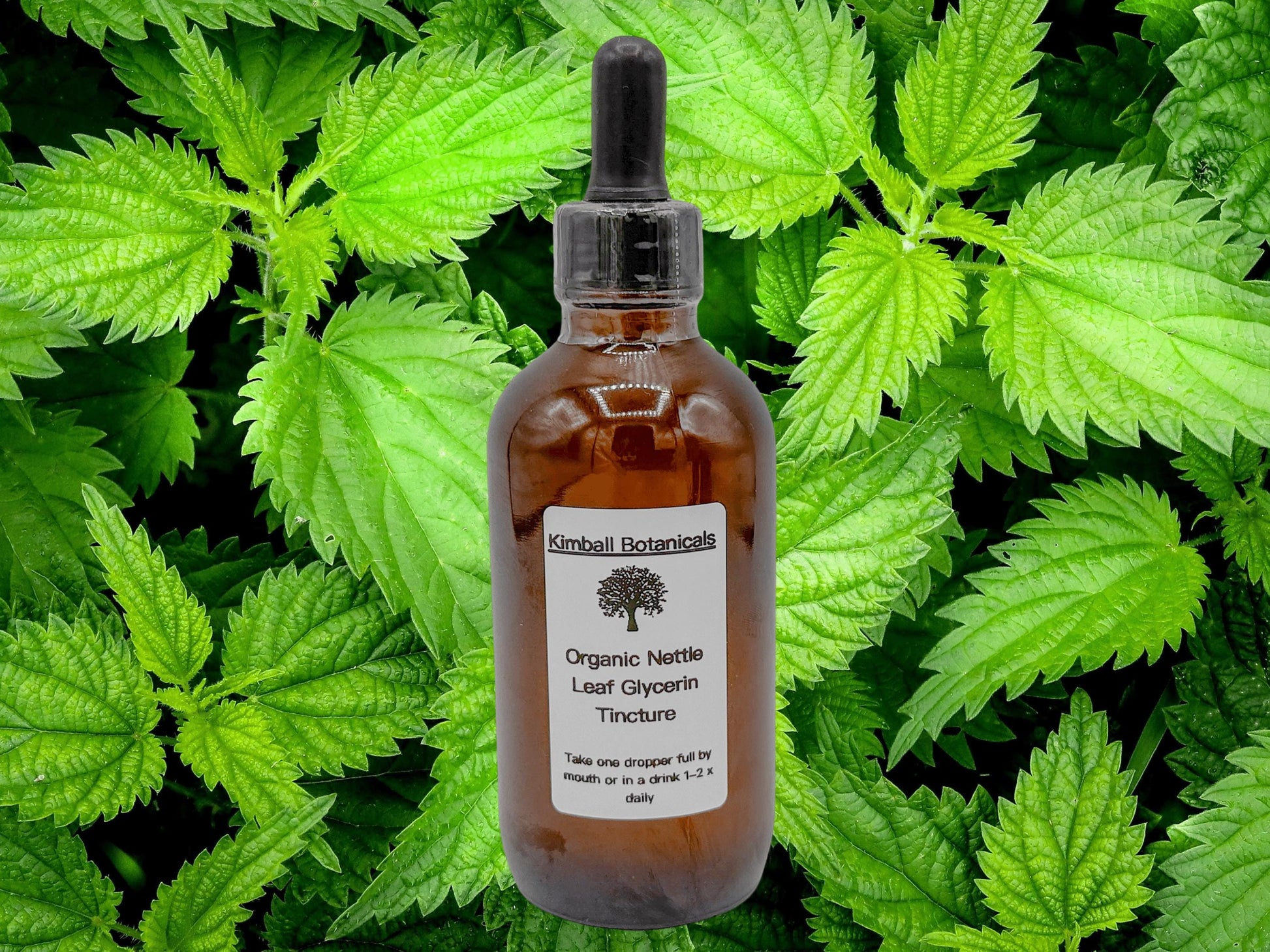 Organic Handcrafted Nettle Leaf Vegetable Glycerin Tincture (soy derived) sustainably harvested NON GMO